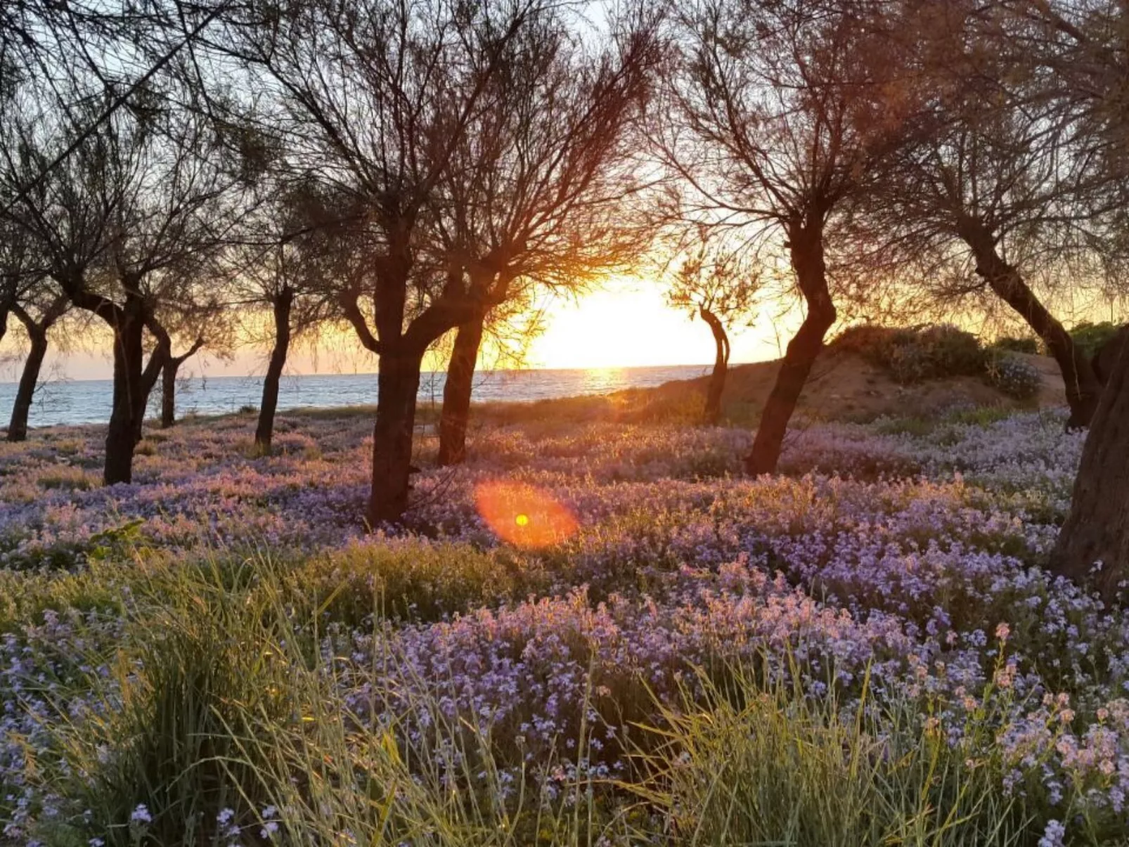 'Elba 1' mit Balkon-Image-tags.info