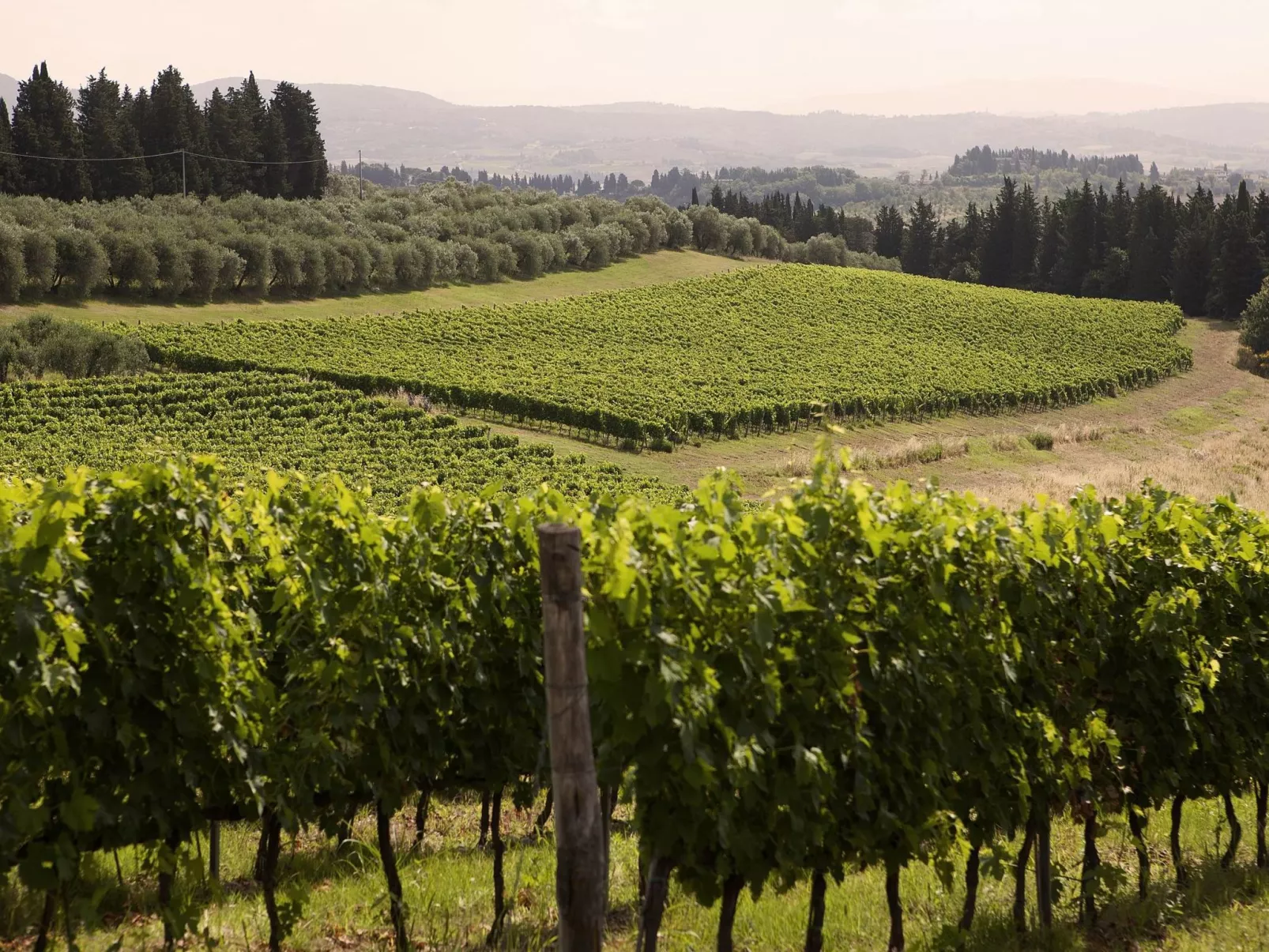 Flach "Giaggioli capponi-Buiten