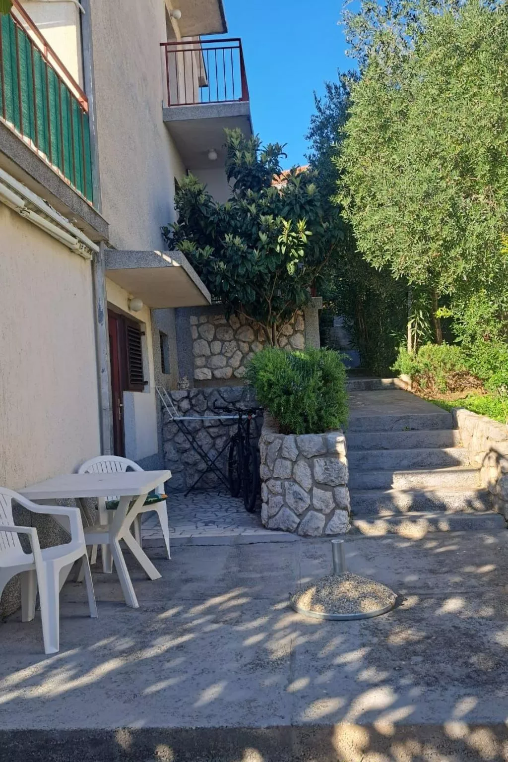 Višnja 2-Image-tags.info