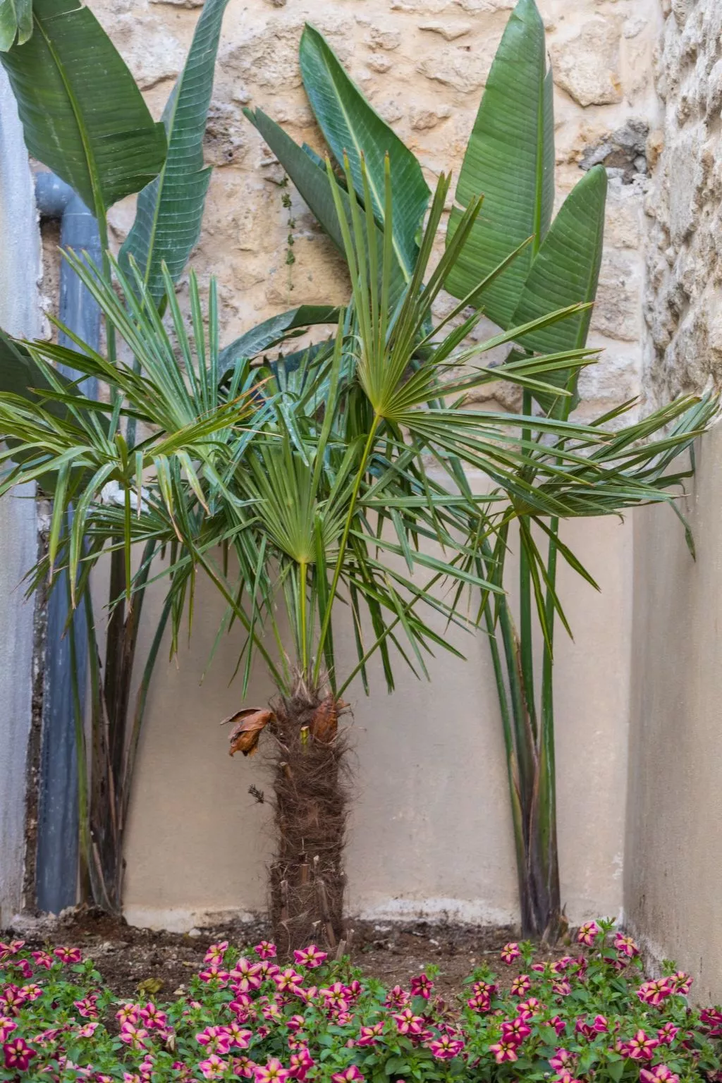 Mit Privatpool für 6 Personen ca. 85 m&sup2; in Rethymnon, Kreta (Nordküste Kre-Image-tags.info