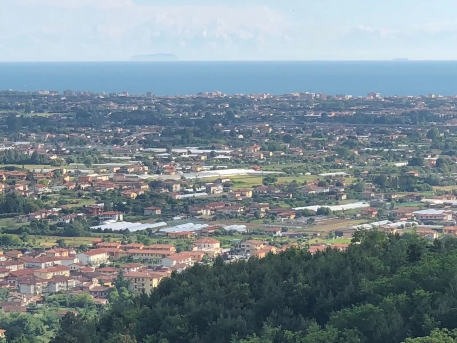 'Graceland' mit Garten und Terrasse-Buiten