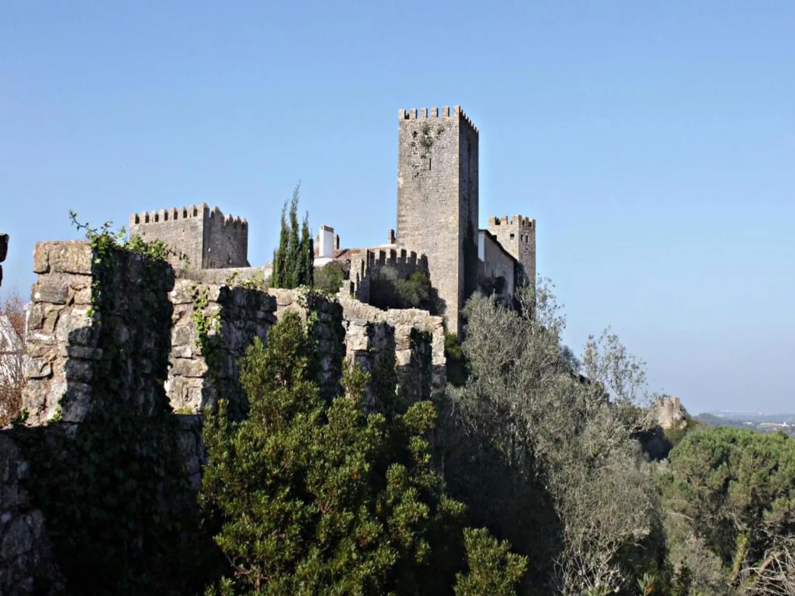 Golf, Pinienwald mit Pool-Image-tags.info