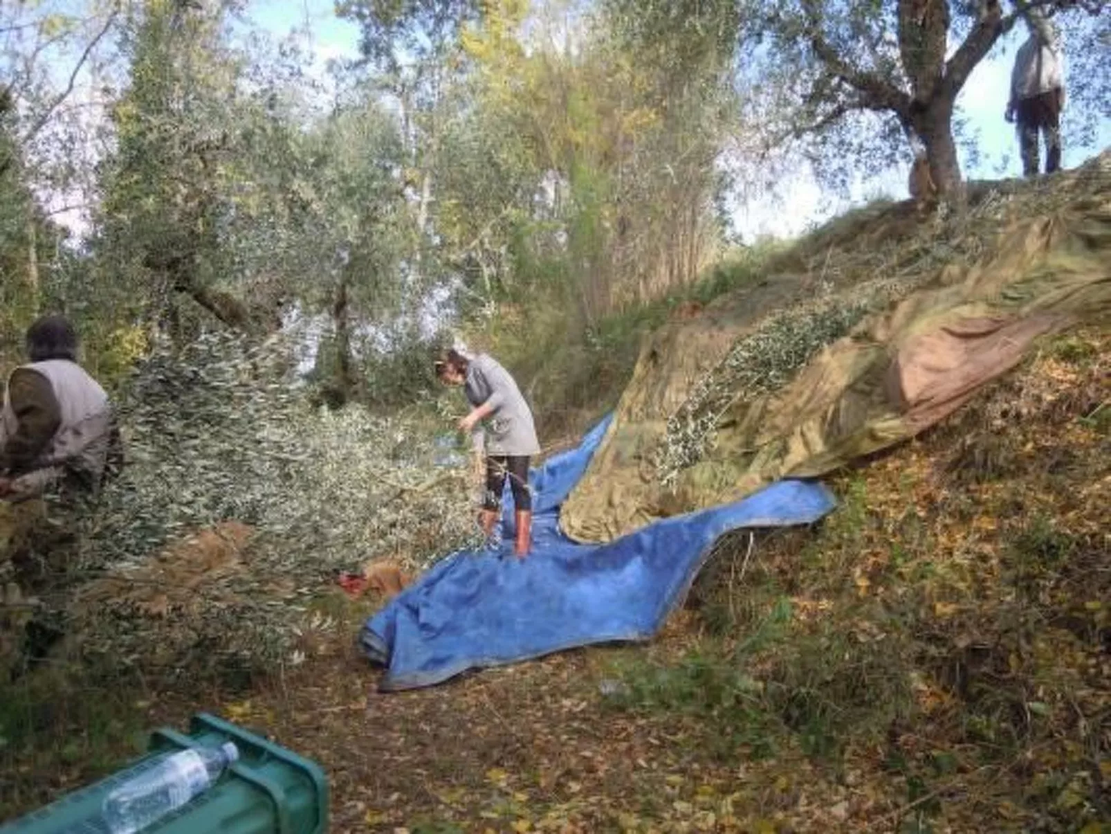 Appartement in Palaia mit Großem Garten-Image-tags.info