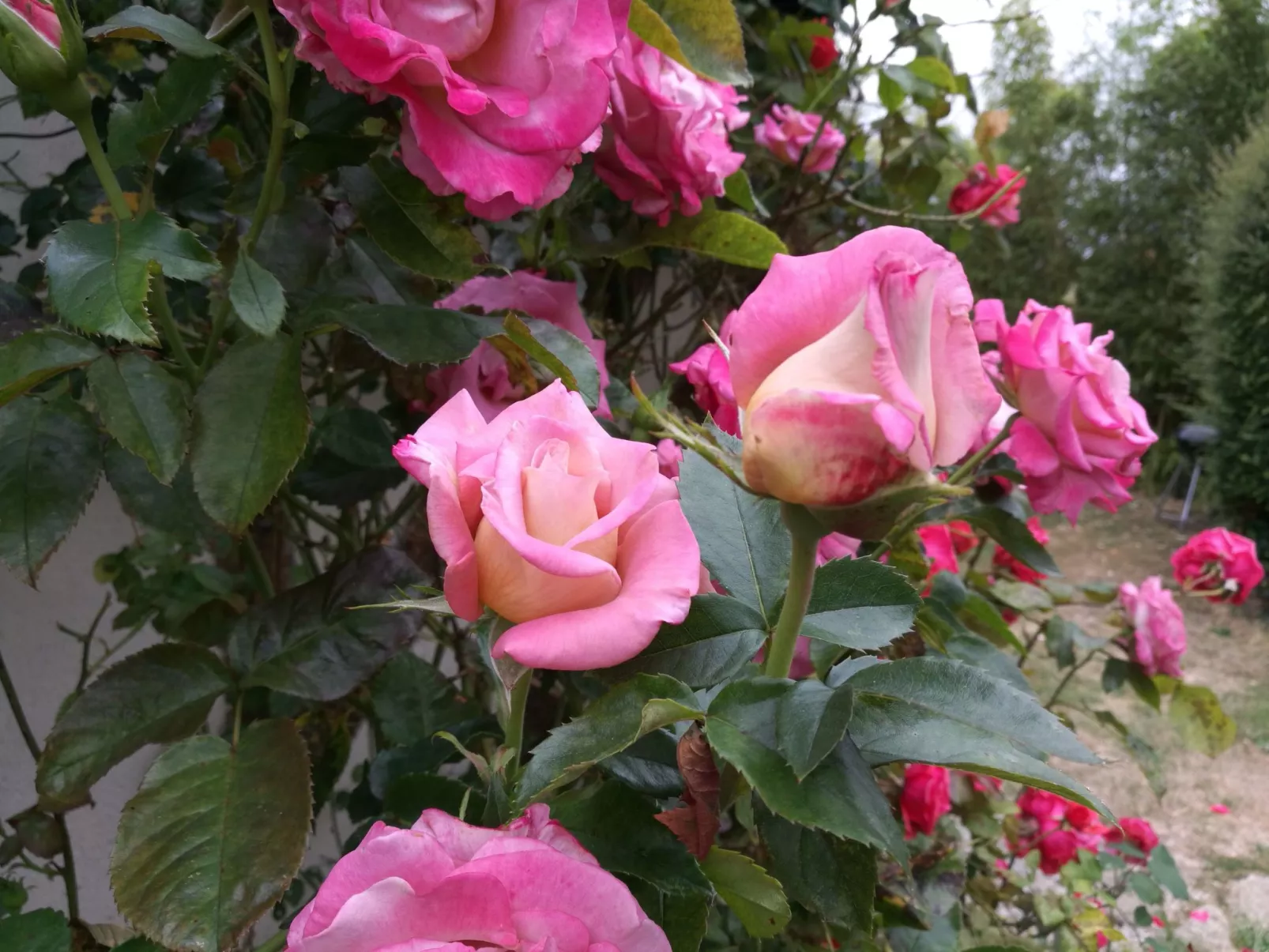 Fachwerkhaus "La Longère" Escapade Normande-Buiten