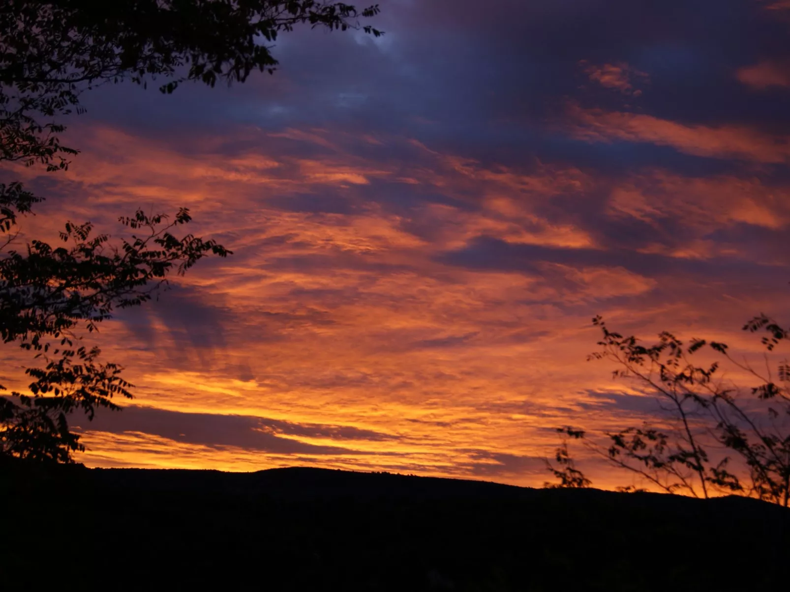 La Ribelle en Provence - Lou recati-Buiten