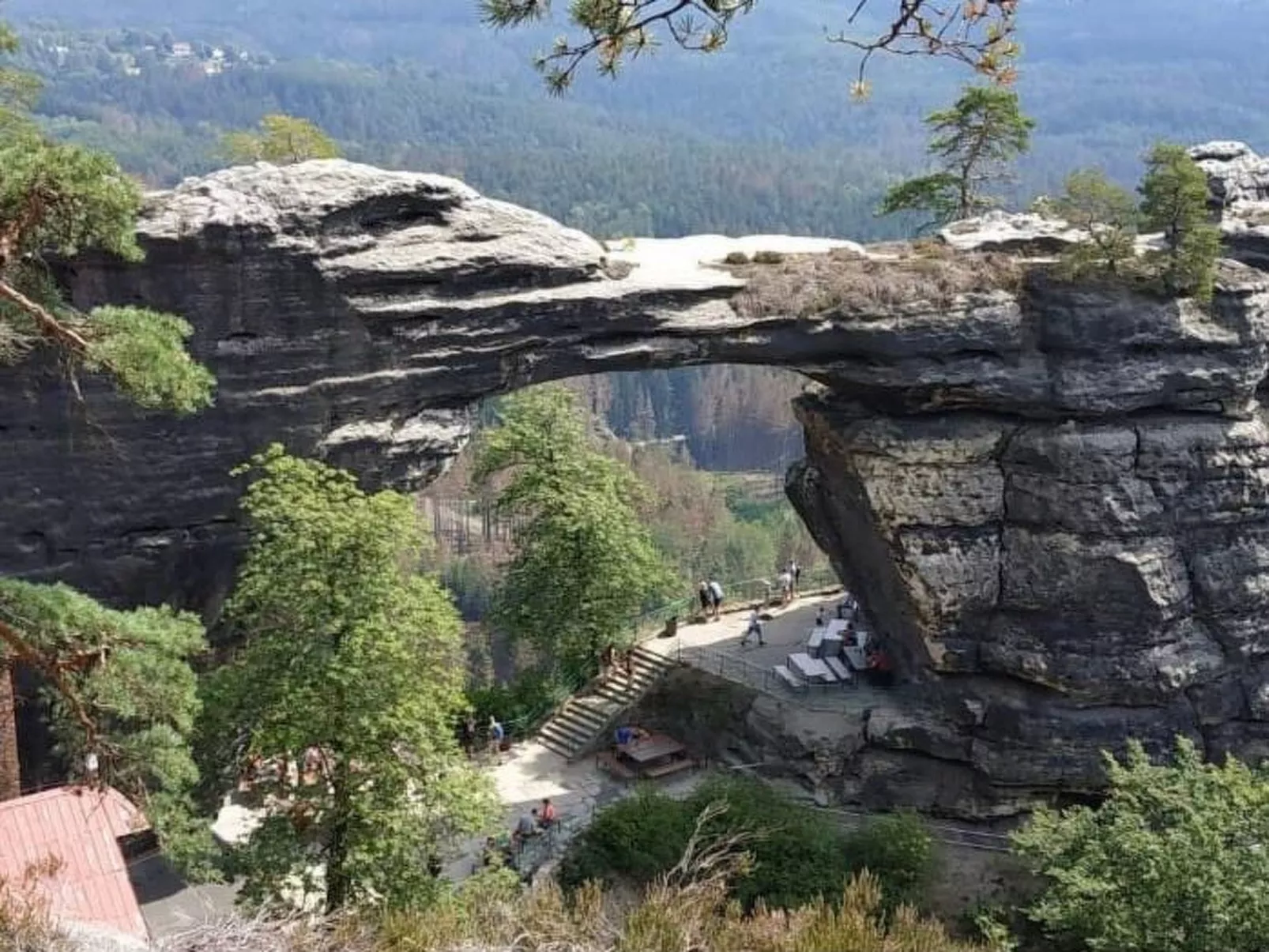 Dittrich in Pirna-Buiten