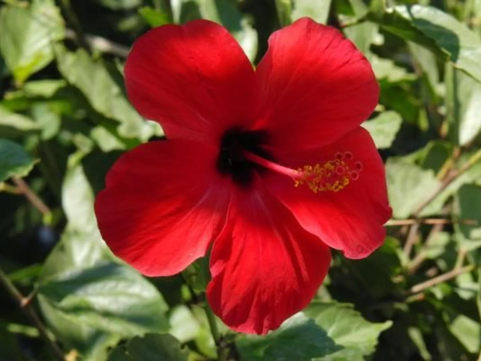 Erdgeschosswohnung im Castle View Haraki-Buiten