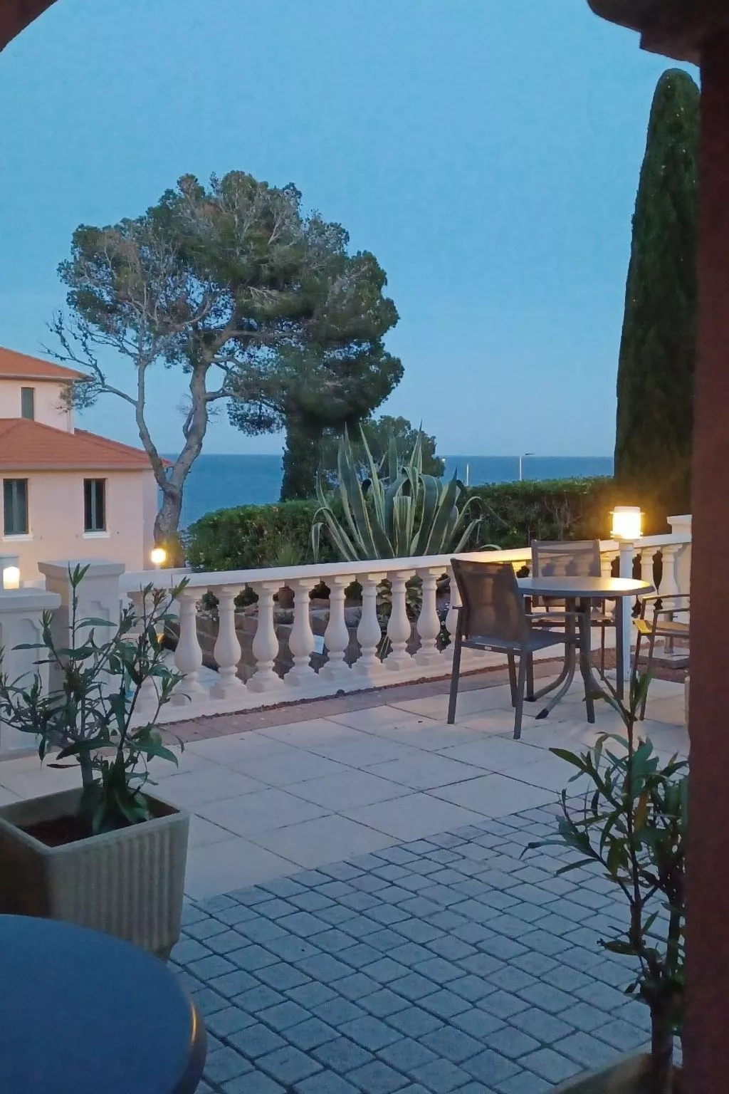 Mimosa-Image-tags.info