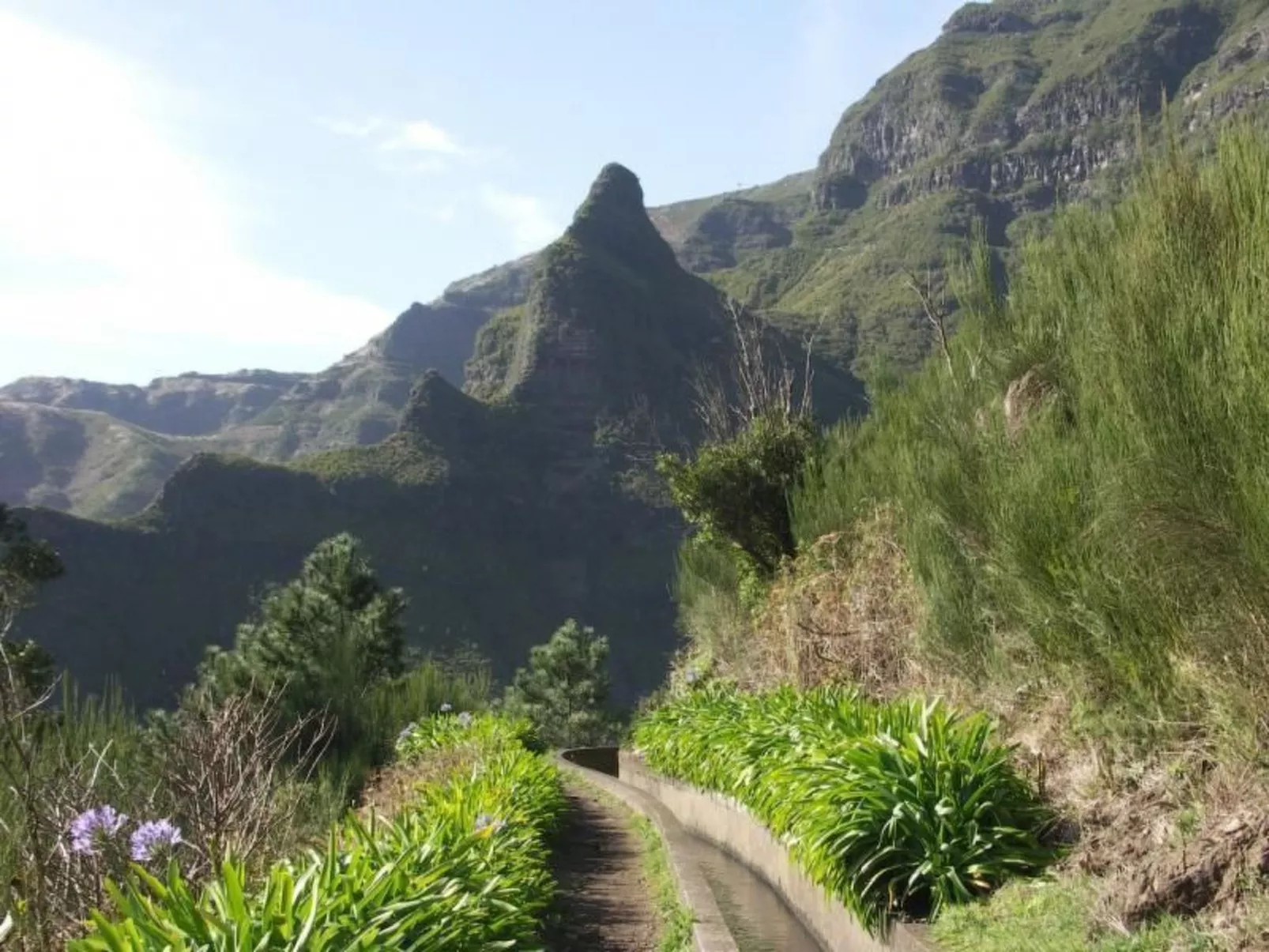 Appartement mit Aussicht auf das Wasser-Image-tags.info