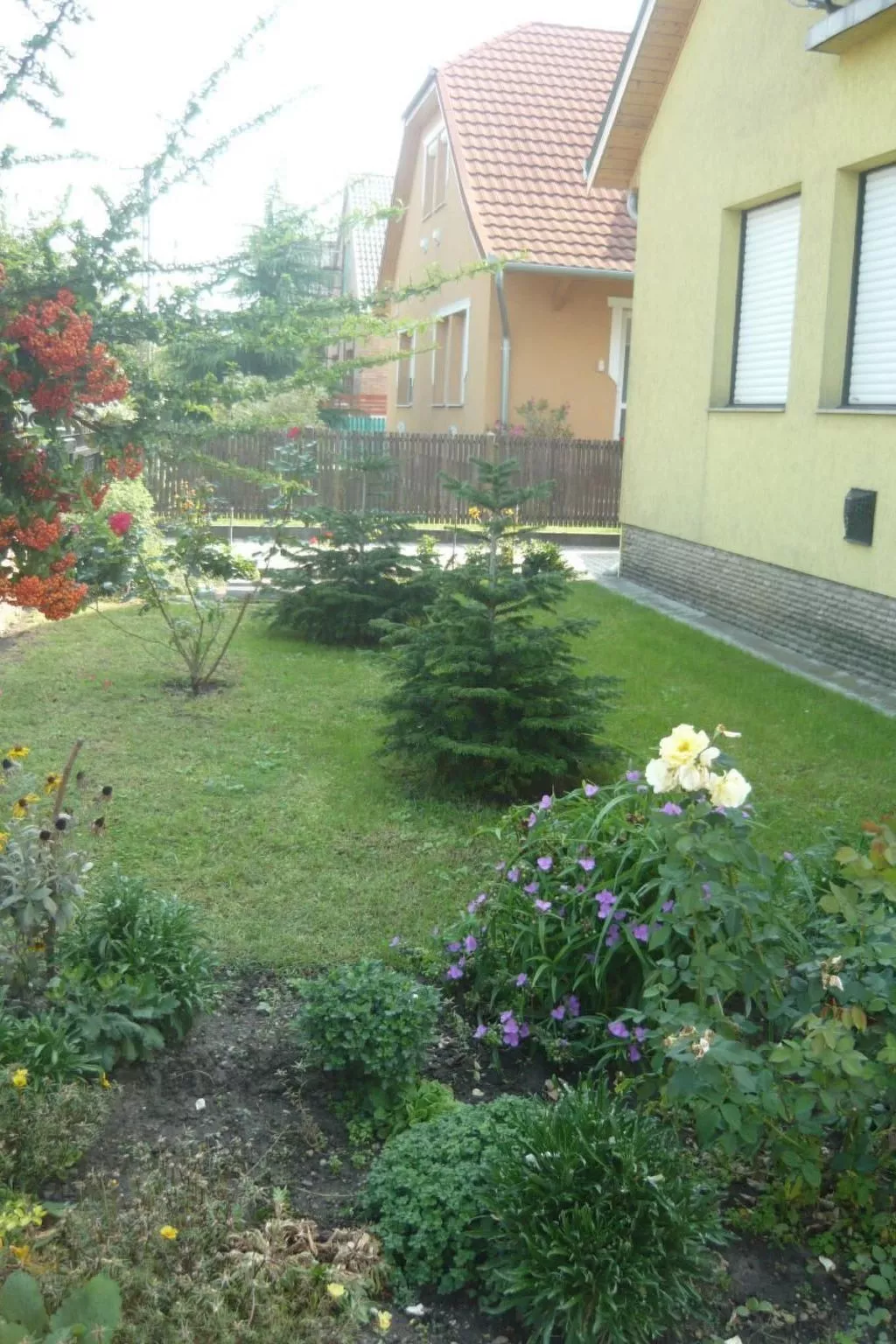 BO-42 - Image-tags.info