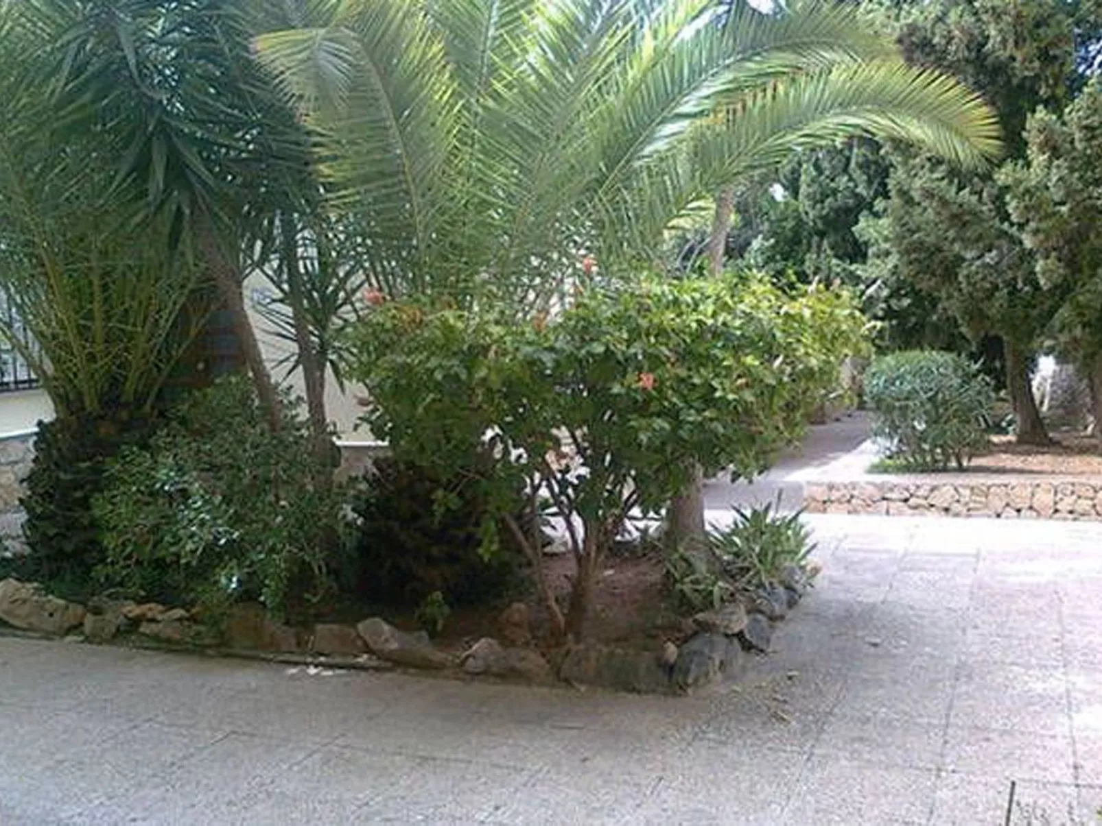 Fabiola mit toller Aussicht-Image-tags.info