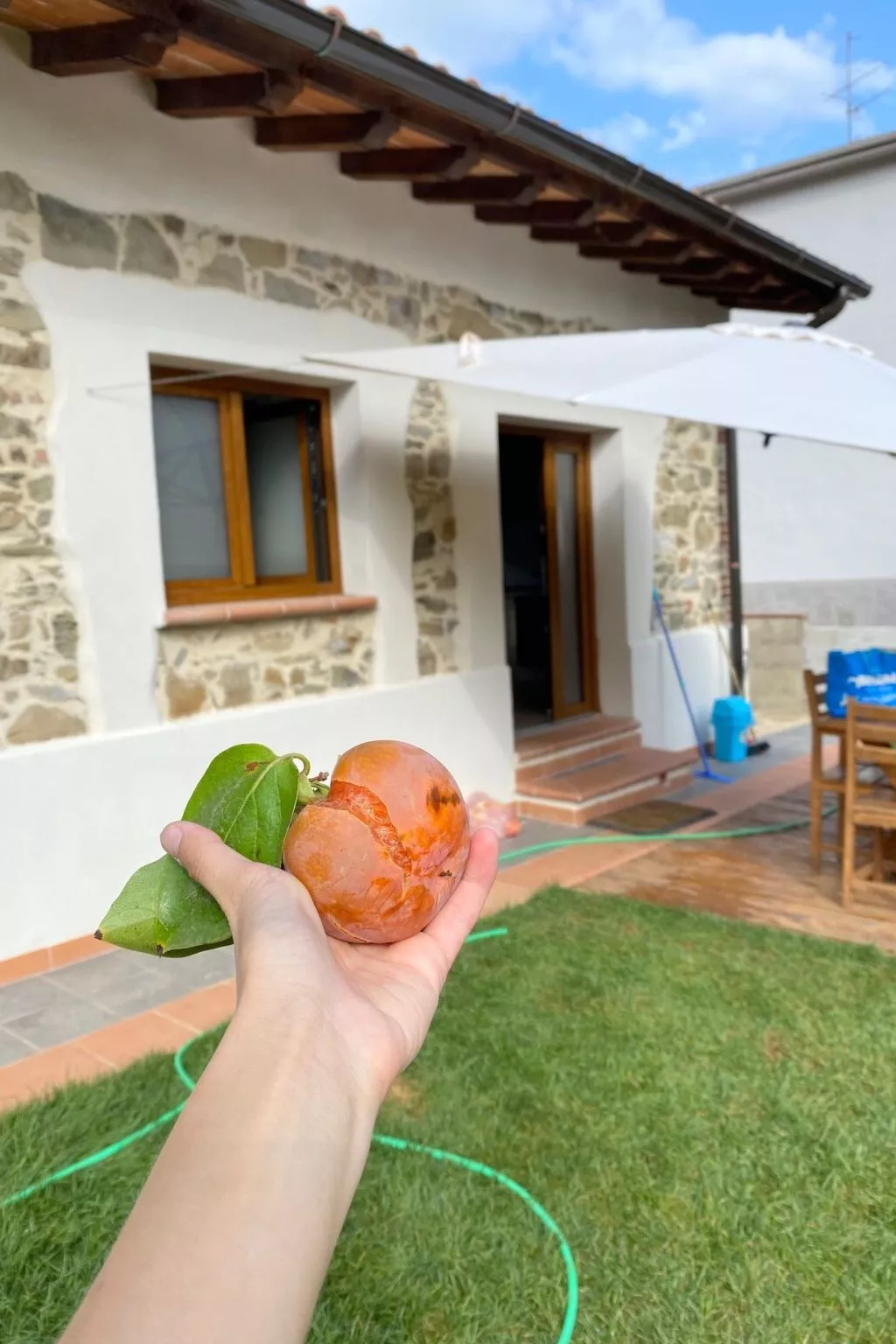 "Giotto" mit Terrasse-Buiten