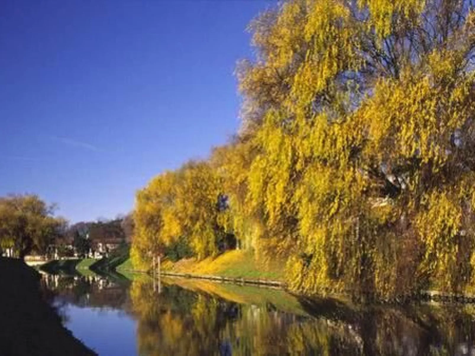Elegante Wohnung in einer venezianischen Villa-Binnen