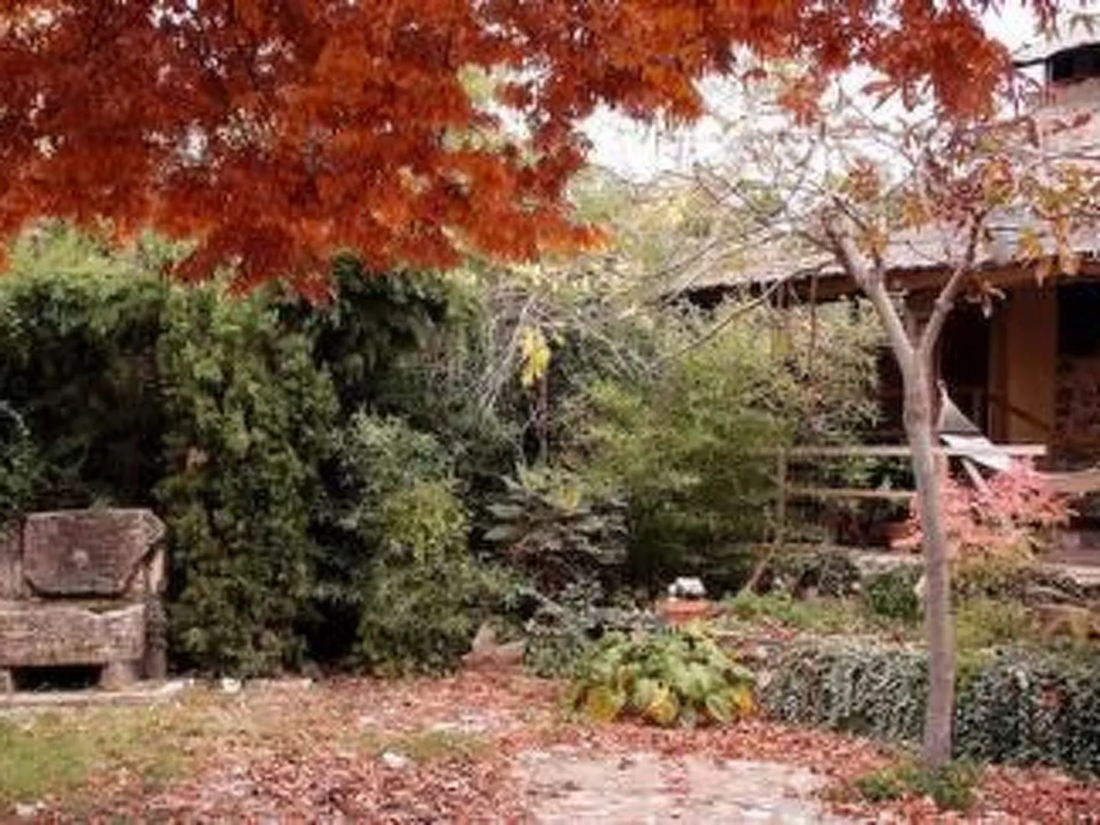 La Casita-Image-tags.info