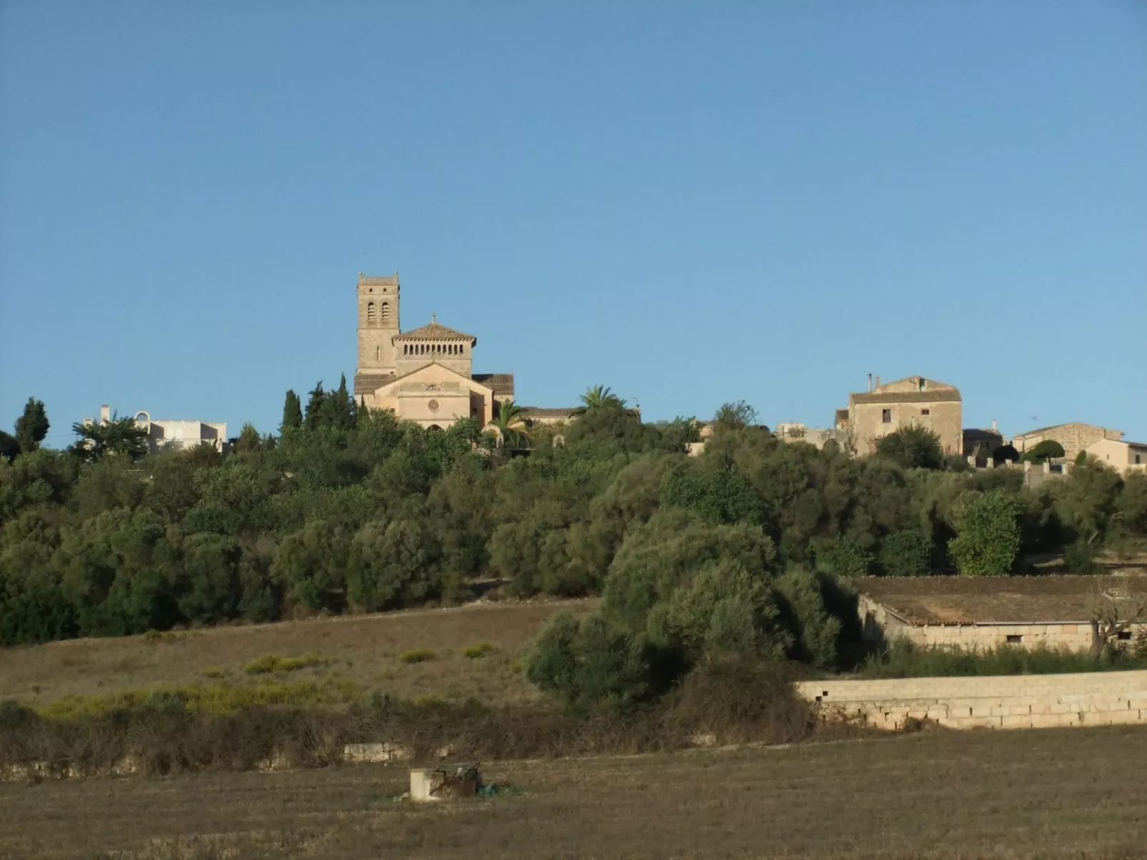 Ribot-Image-tags.info