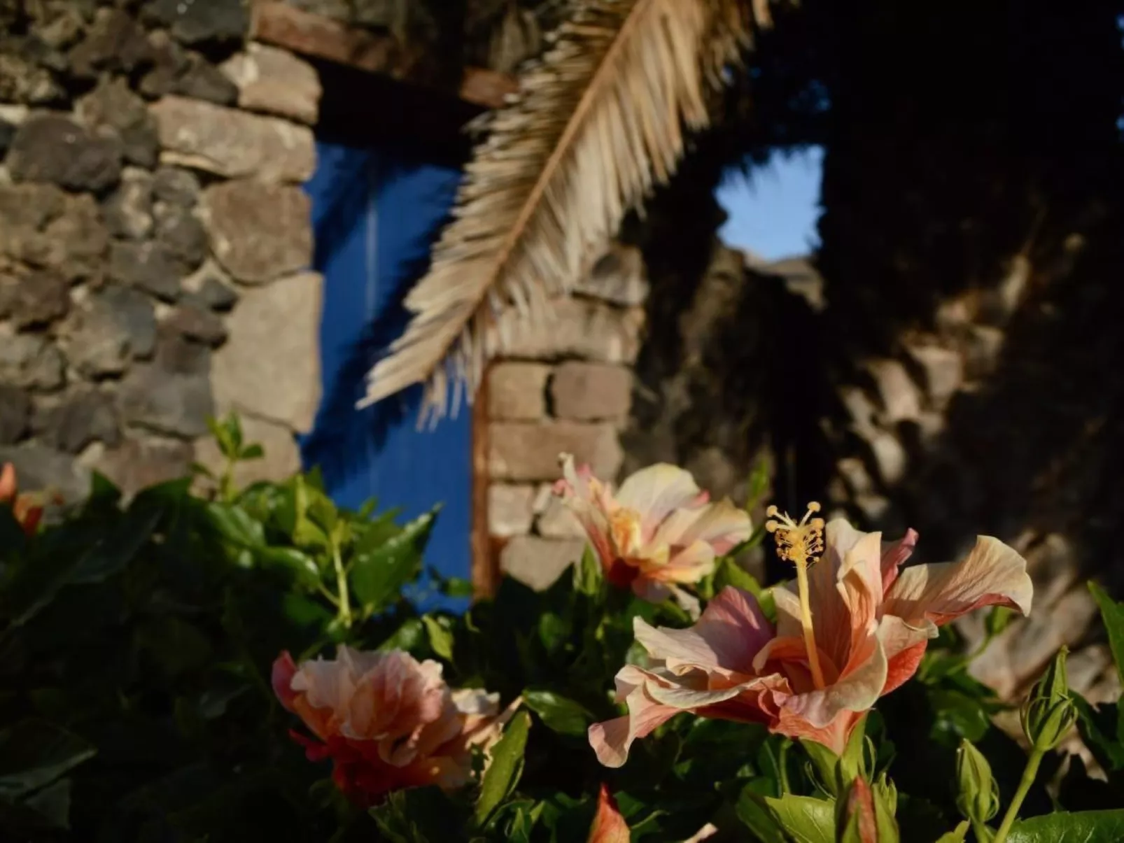 Appartement Casa Hibisco mit schönem Garten-Buiten