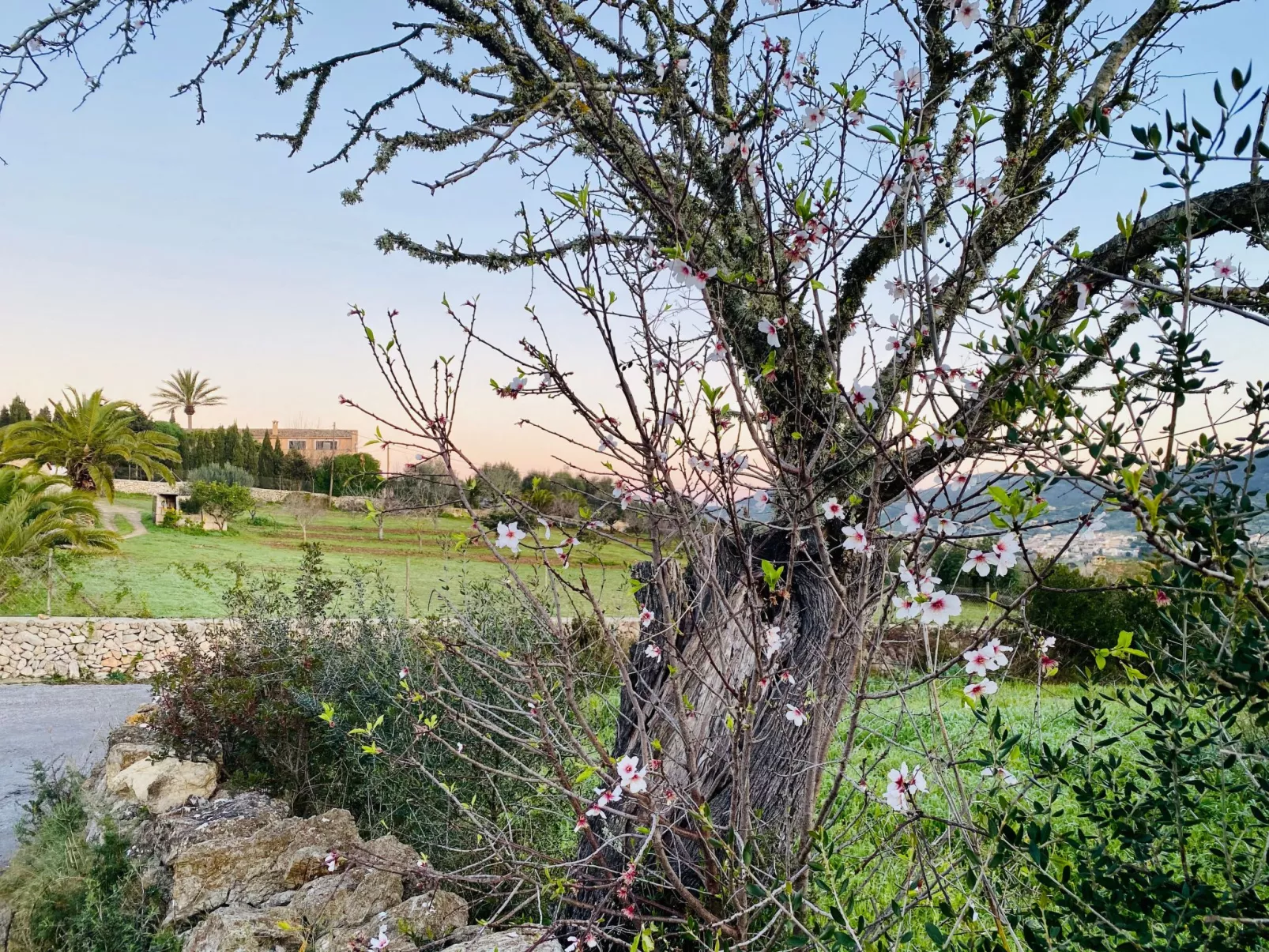 Adults Only Finca - Apartment zum entspannen-Buiten