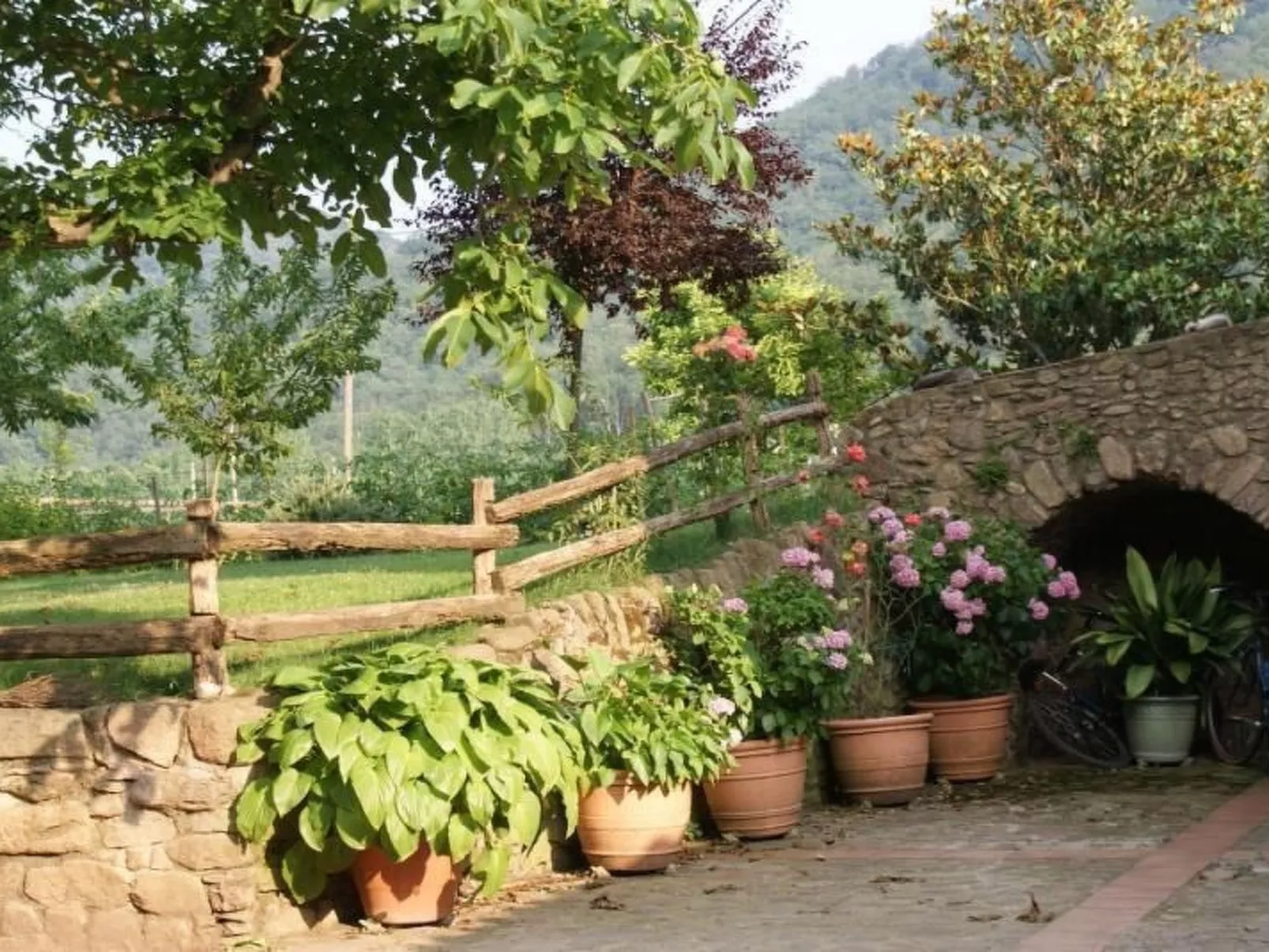 El Paller-Image-tags.info