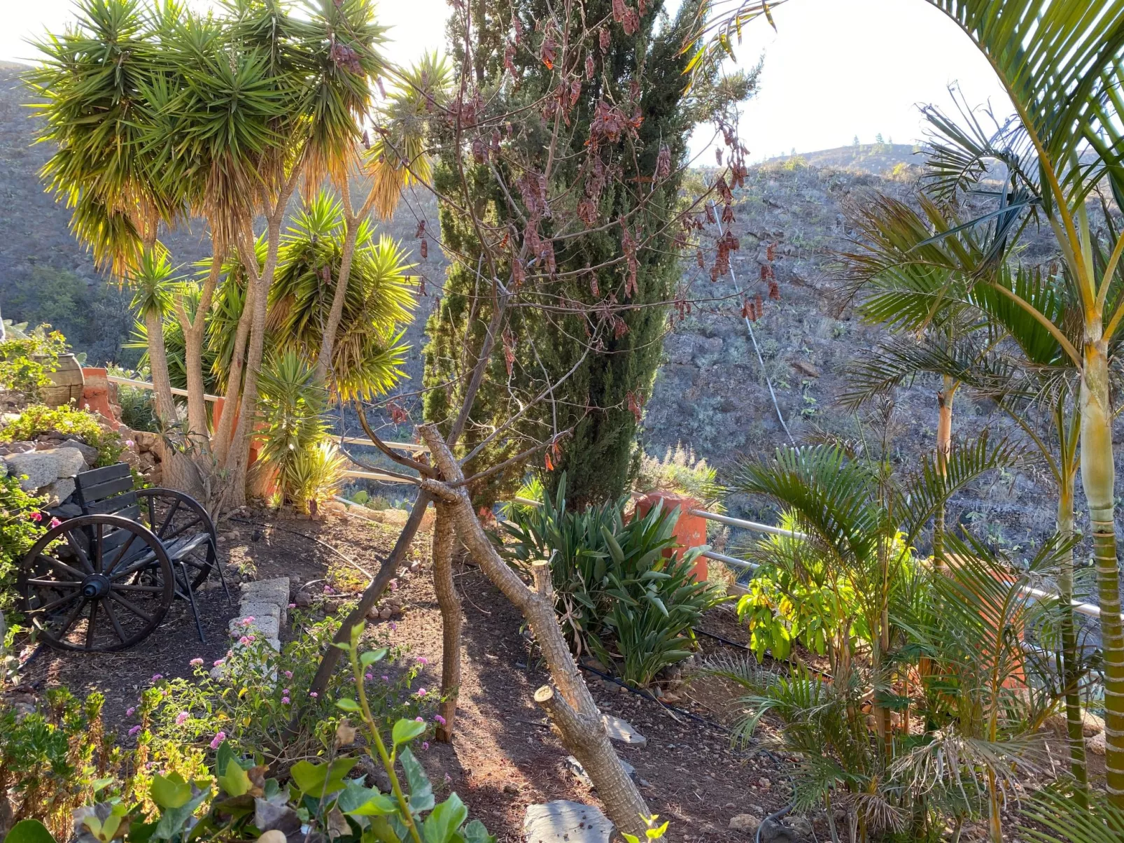 La Paloma mit gemeinschaftlichem Wellnessbereich-Image-tags.info