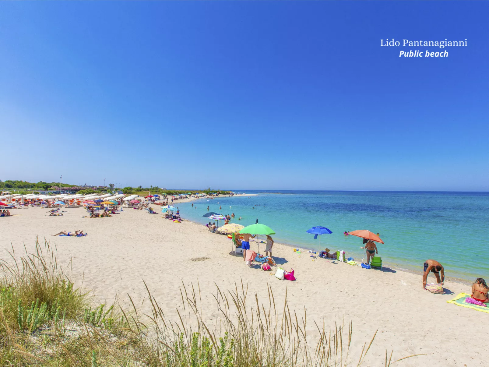 Der Meerblick von Viola-Buiten