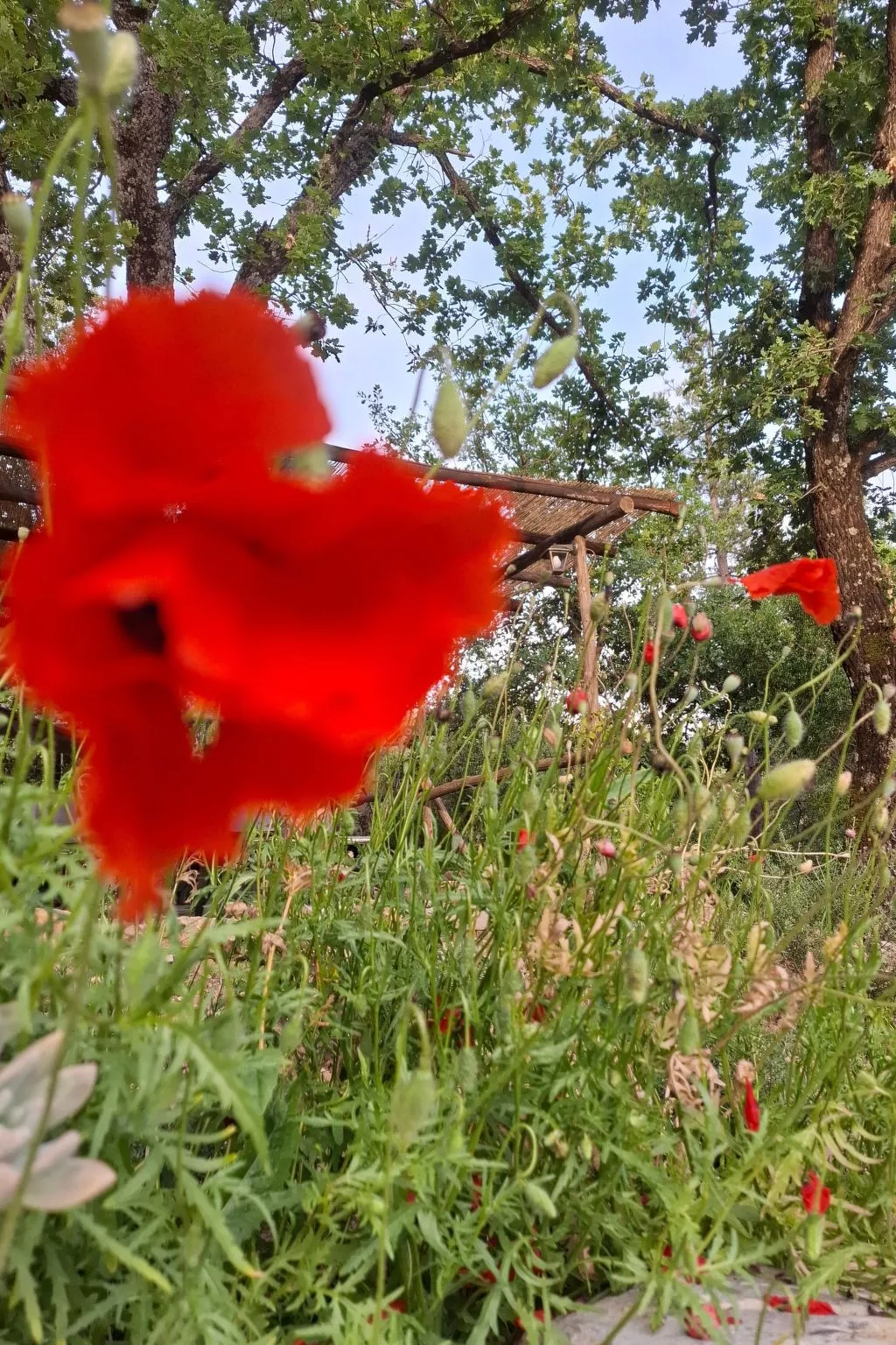 Ein-Zimmer-Wohnung in einem Bauernhaus-Buiten