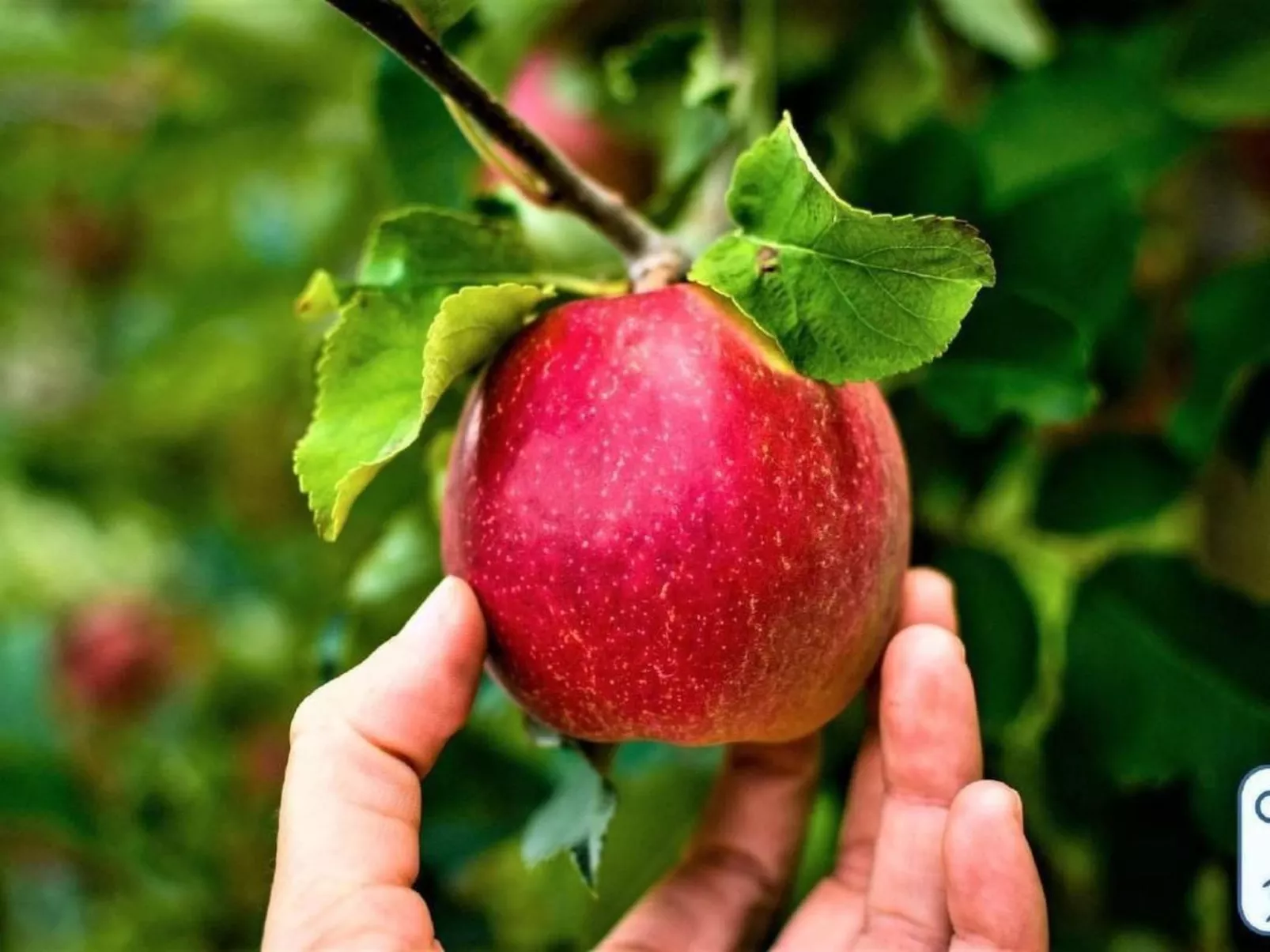 'Antico Eremo'-Buiten