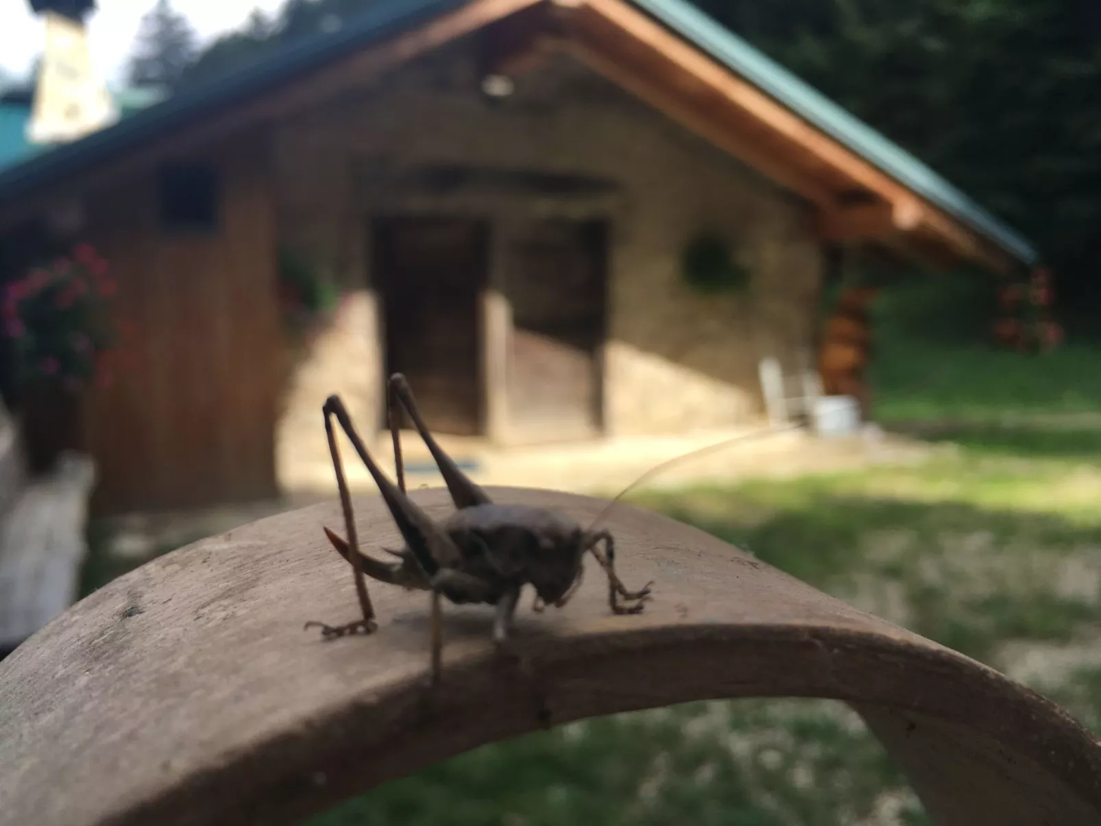 Mit Sauna in Pieve Di Bono-Buiten