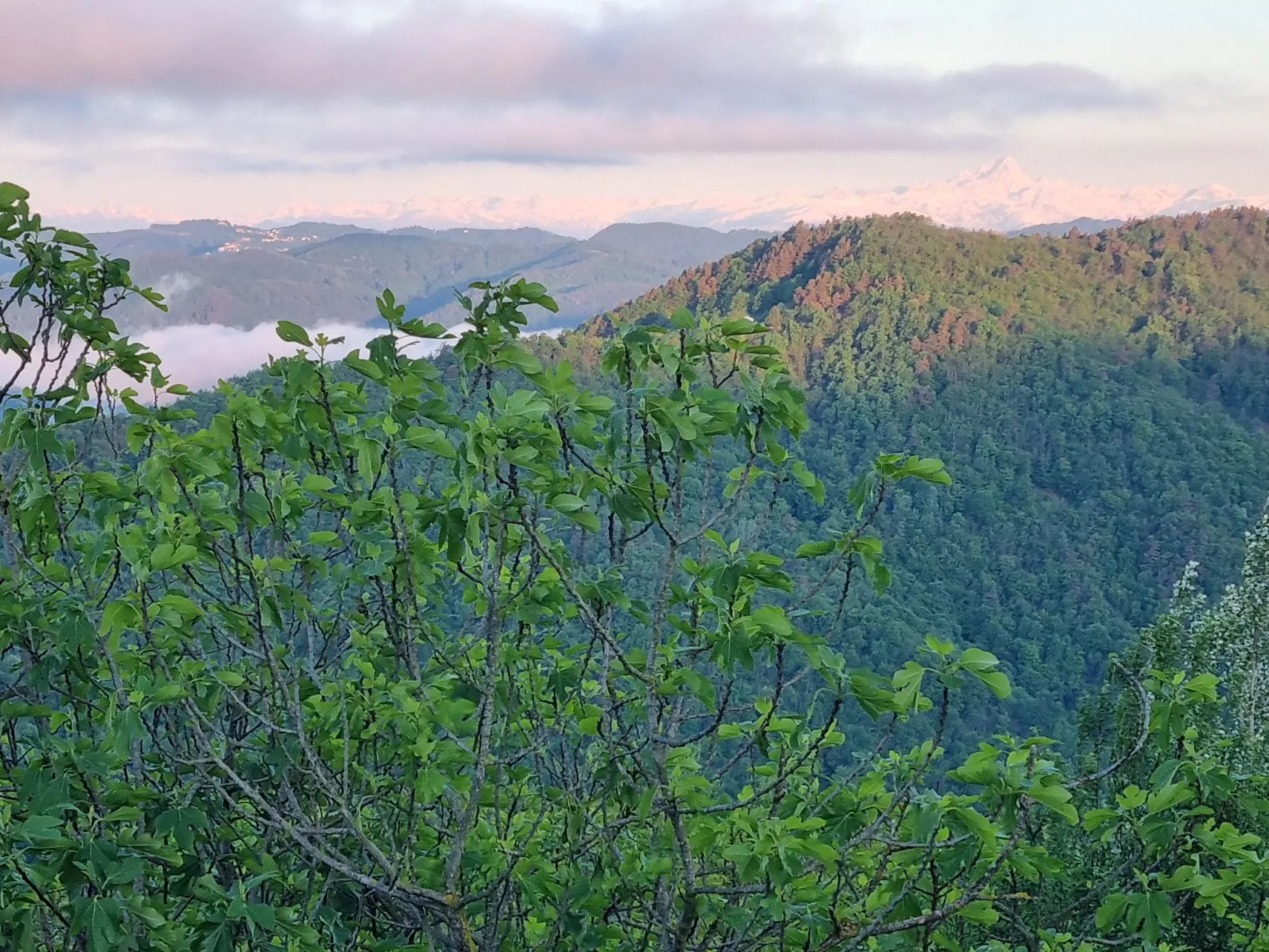 Cascina Bricco - Perletto Ferienwohnung-Buiten