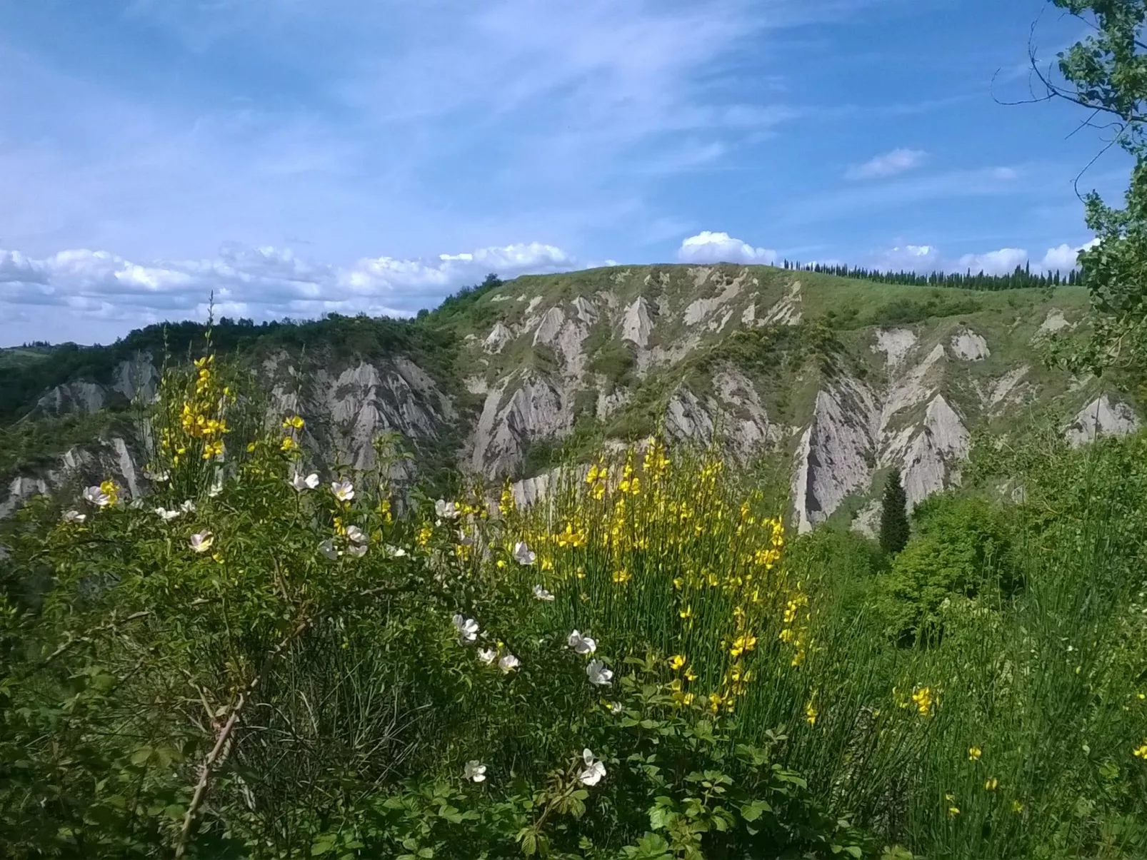 Wohnung mit Garten und oberirdischem Pool-Buiten