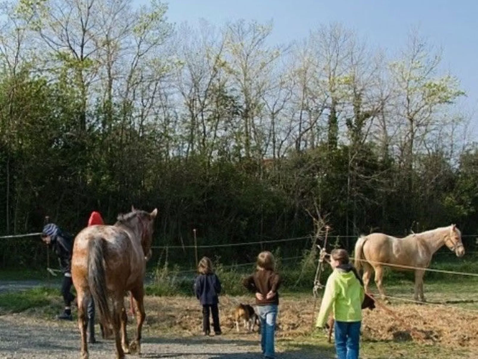 Ein-Zimmer-Wohnung 'Ligoracce-Image-tags.info
