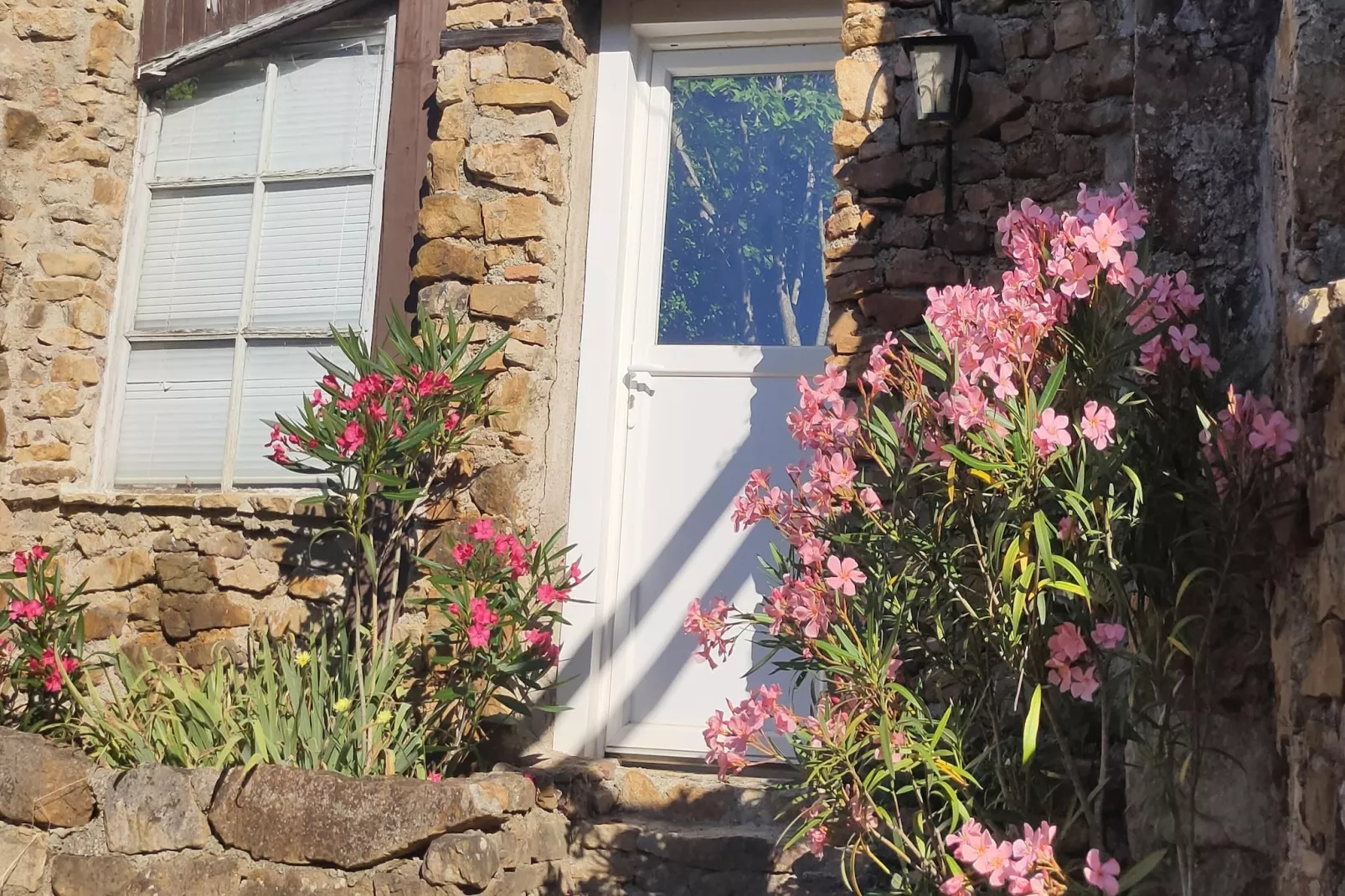 Mirabeau-Hal-ontvangst