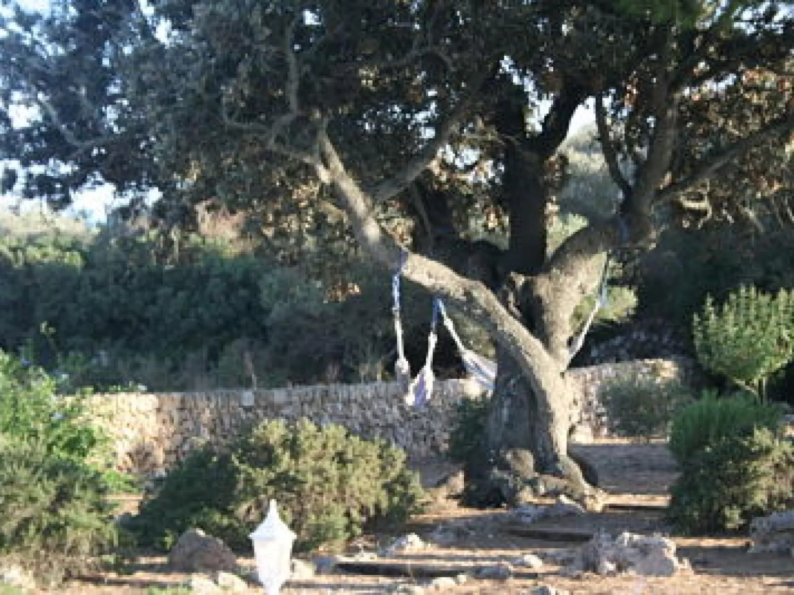 Gemütliches Ferienhaus in Alaior mit Privatem Pool - Buiten