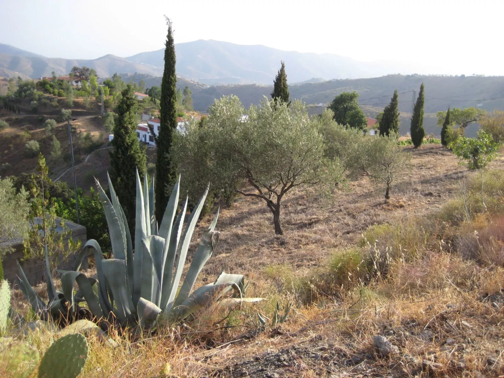 Finca 'Casa Siete Arcos' - Buiten
