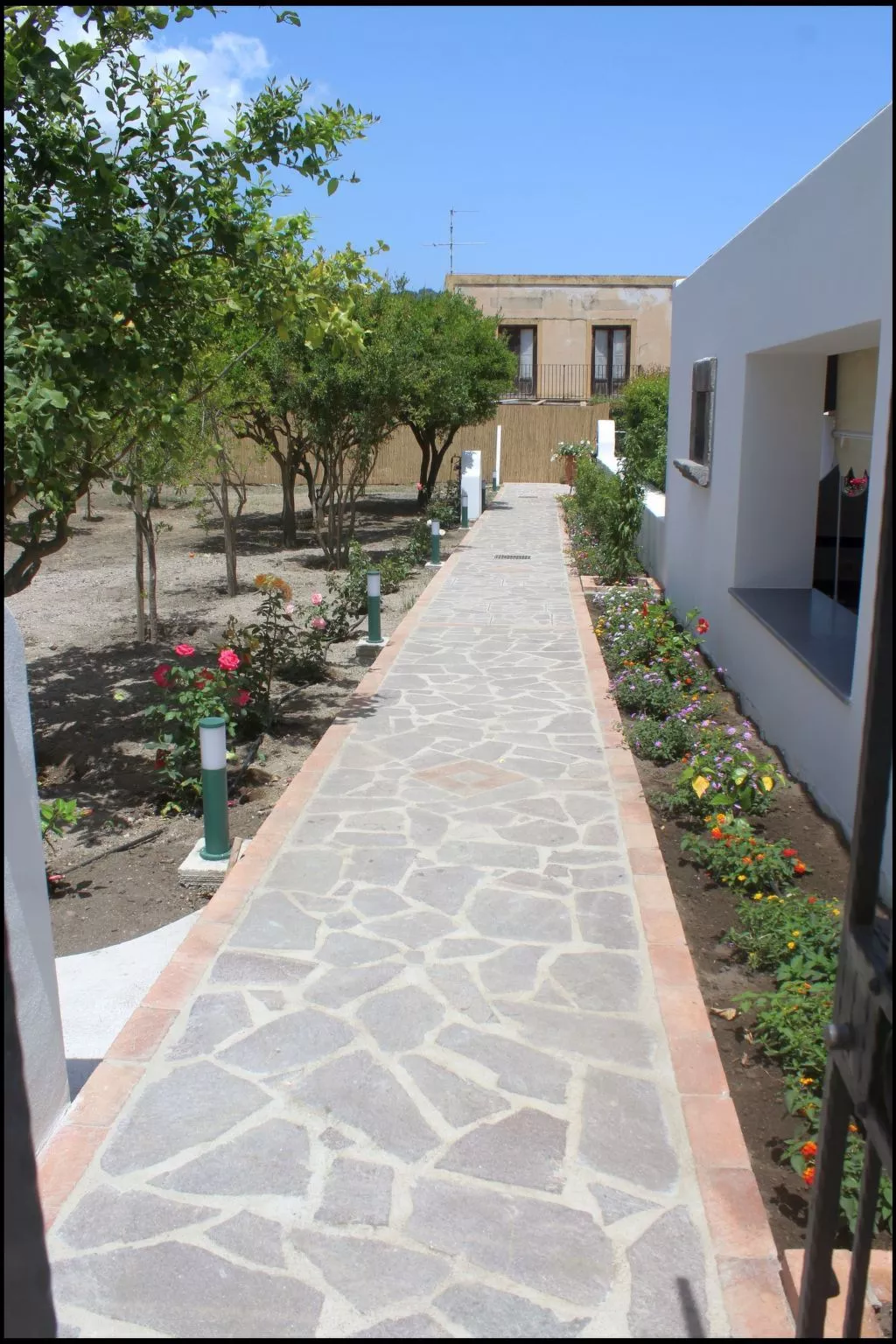 'Camelia ab 236-Buiten