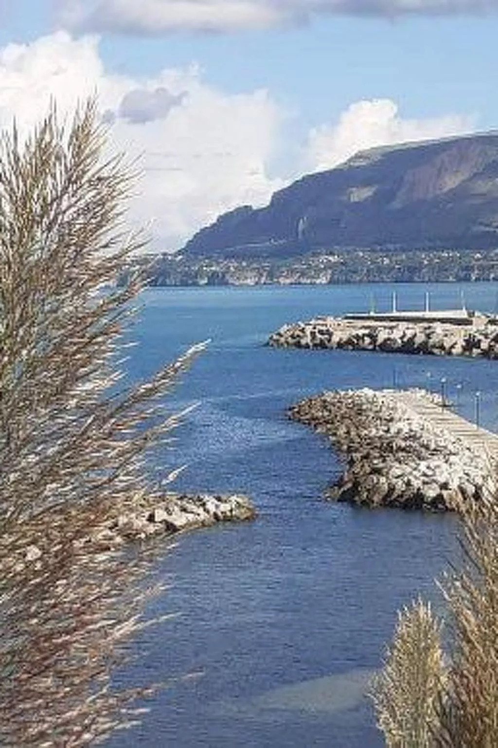 'Girasole' mit Wi-Fi - Image-tags.info