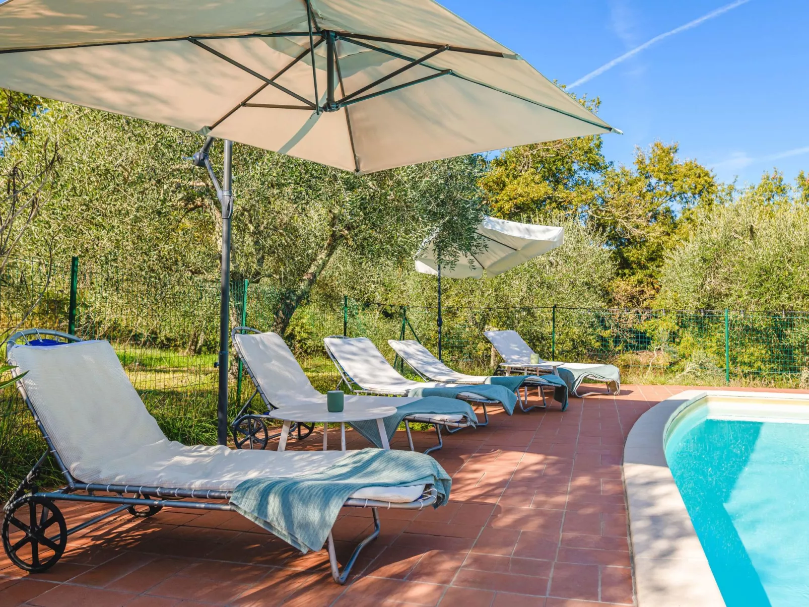 Podere Mencoini Elegante Villa mit Pool und Olivenbäumen-Buiten