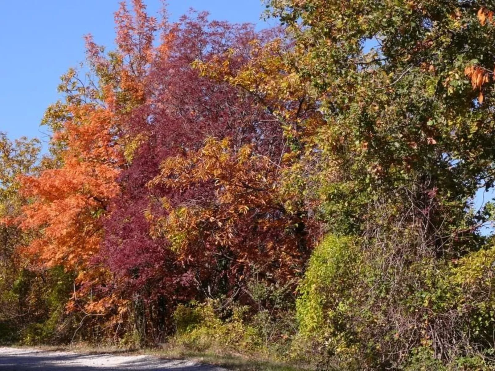 'La Torre' mit Terrasse-Image-tags.info