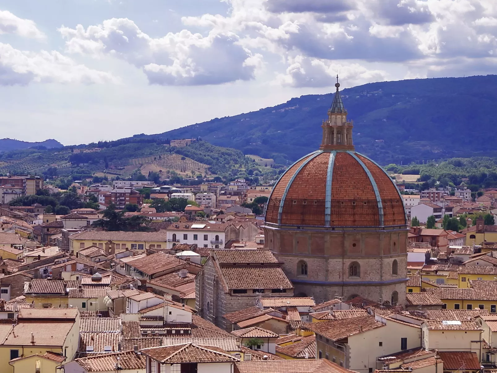 Rosa Selvatica by Holiday World-Image-tags.info