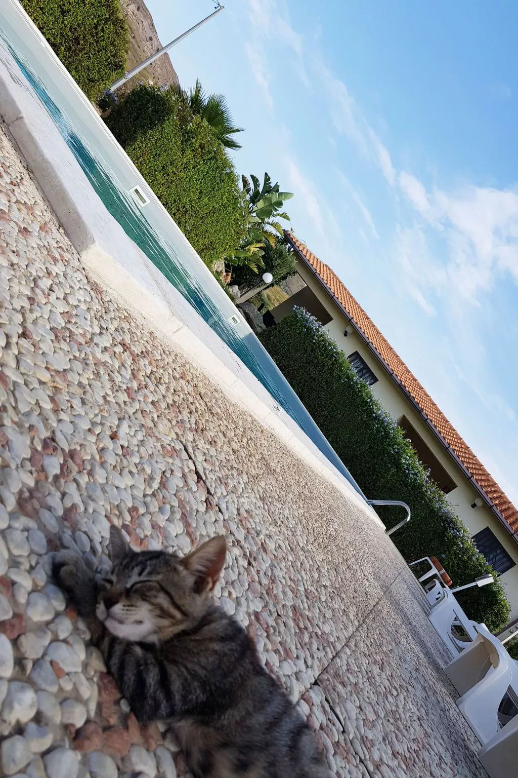 Wohnung 5 - Zwei-Zimmer-Wohnung-Binnen