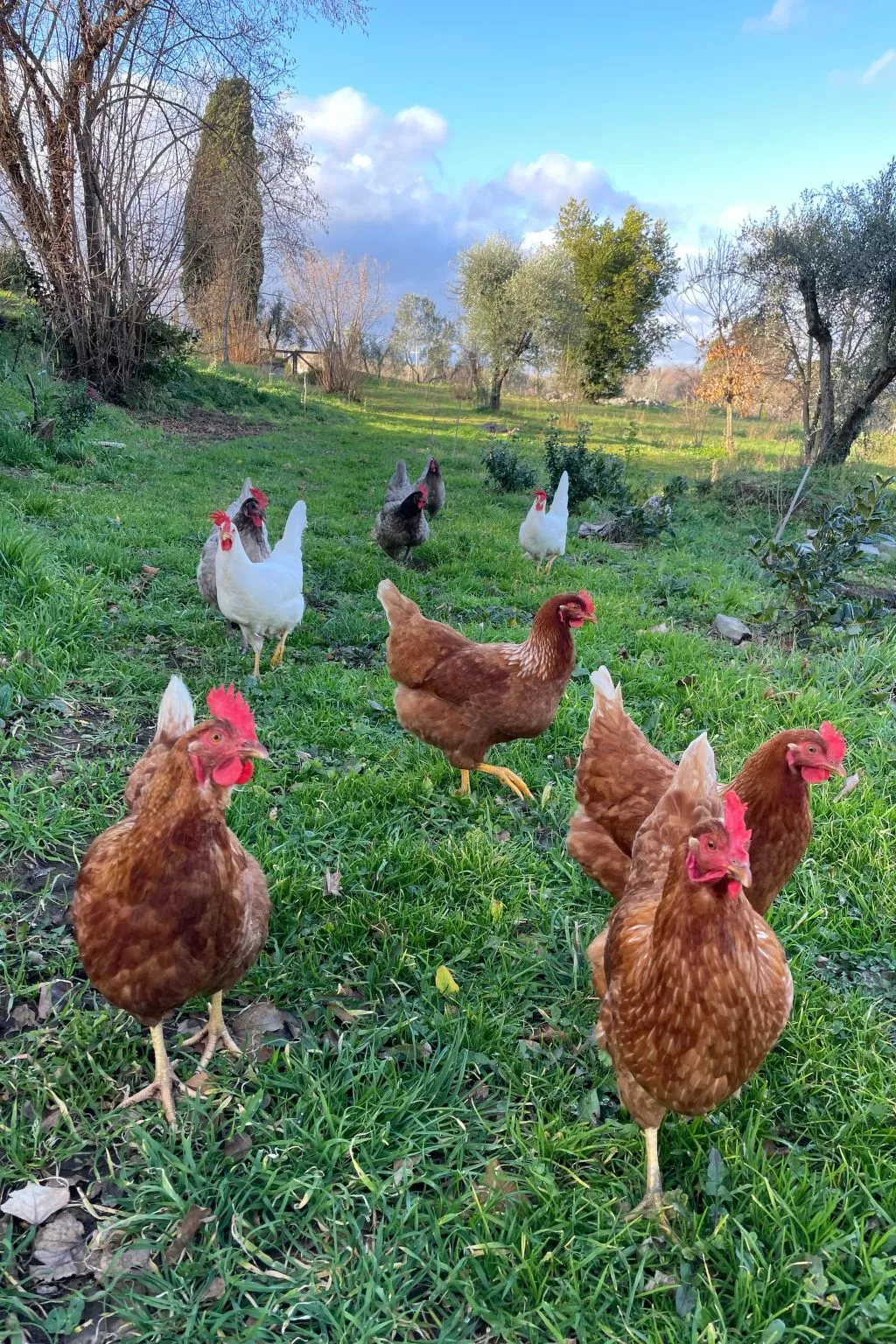 'Merula Antica Dimora'-Buiten