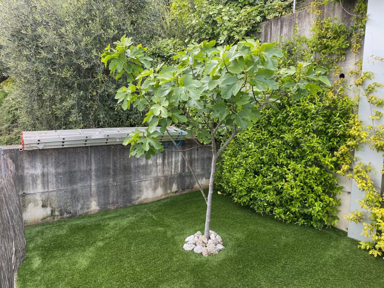 Seeblick Casa Franka-Image-tags.info