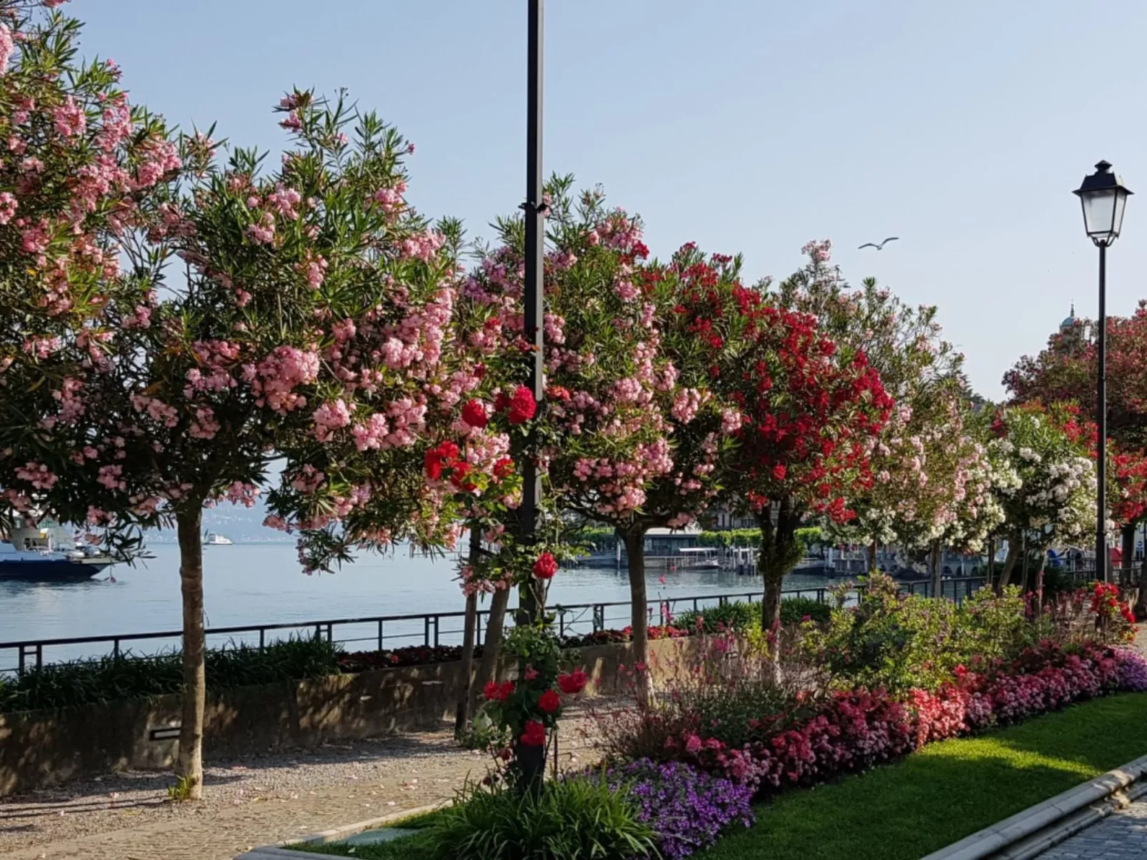 CasaKatty Zwei-Zimmer-Wohnung mit Balkon mit Seeblick-Buiten