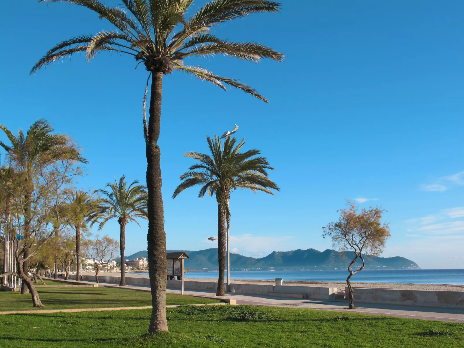 Mafloras Luxus und Strand Appartement-Omgeving