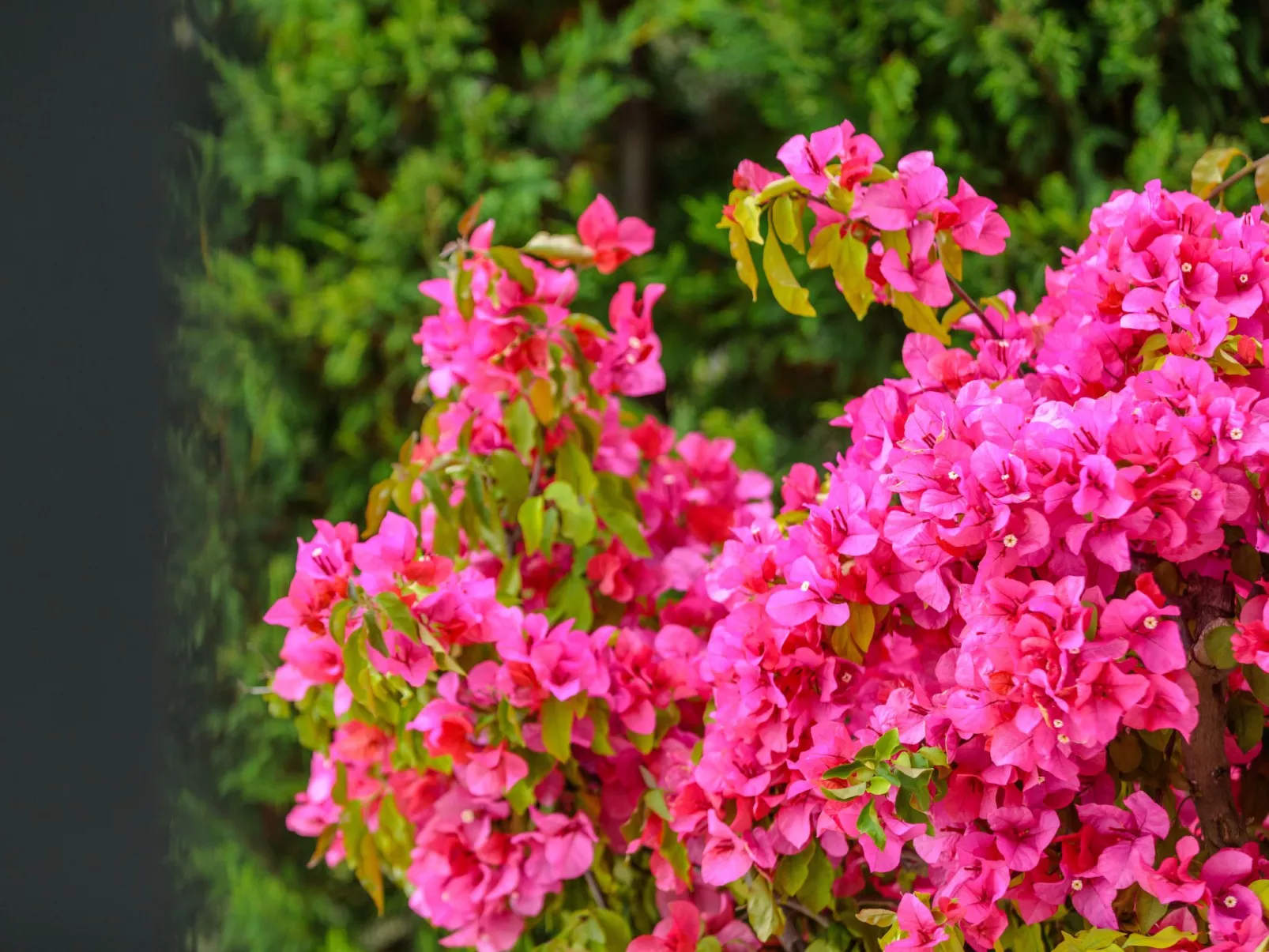 Luxuriöse Villa mit fantastischem Meerblick und Pool-Buiten