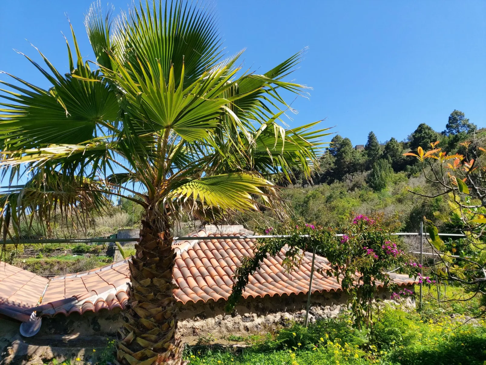 FW Cueva del Viento-Buiten