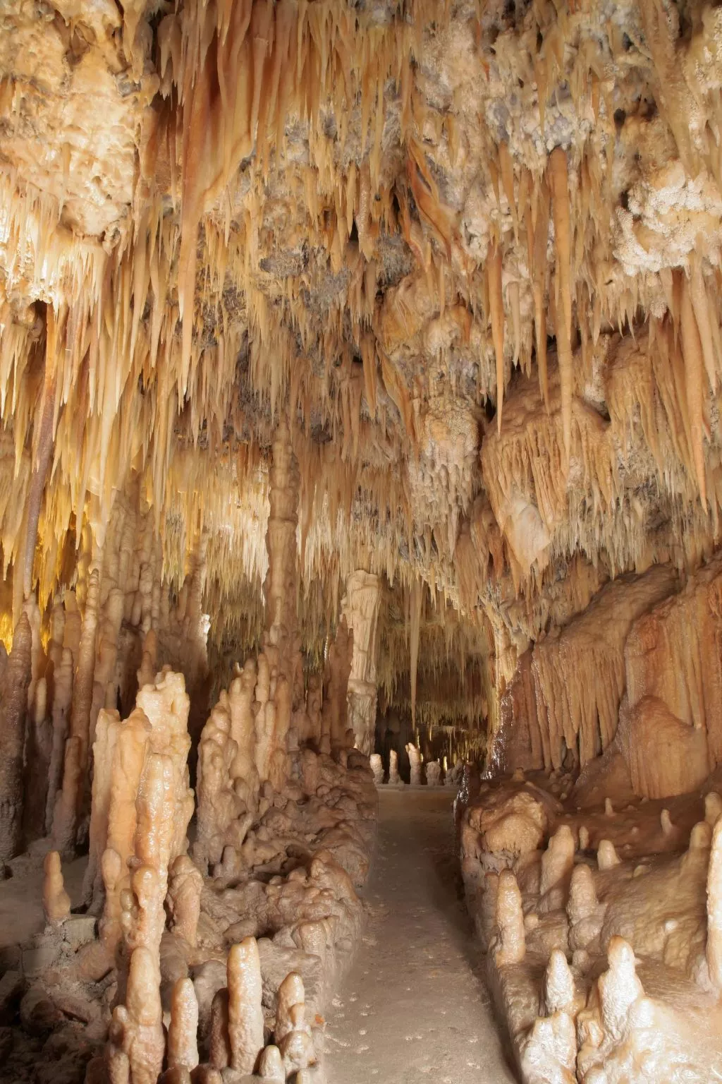 Casa Lea-Image-tags.info