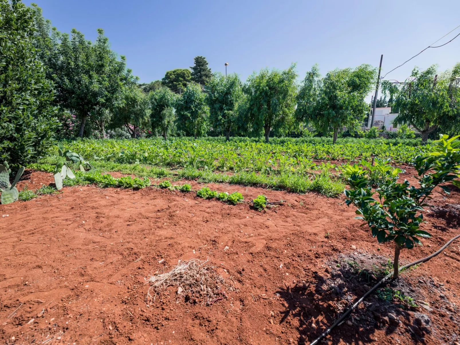 Casal del Borgo 5-Buiten