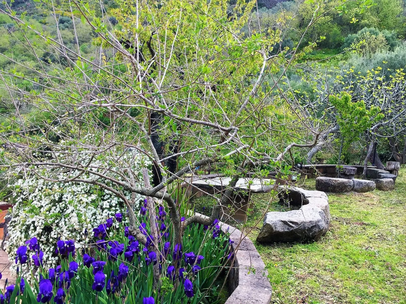 Mandelbaum-Wohnung-Buiten