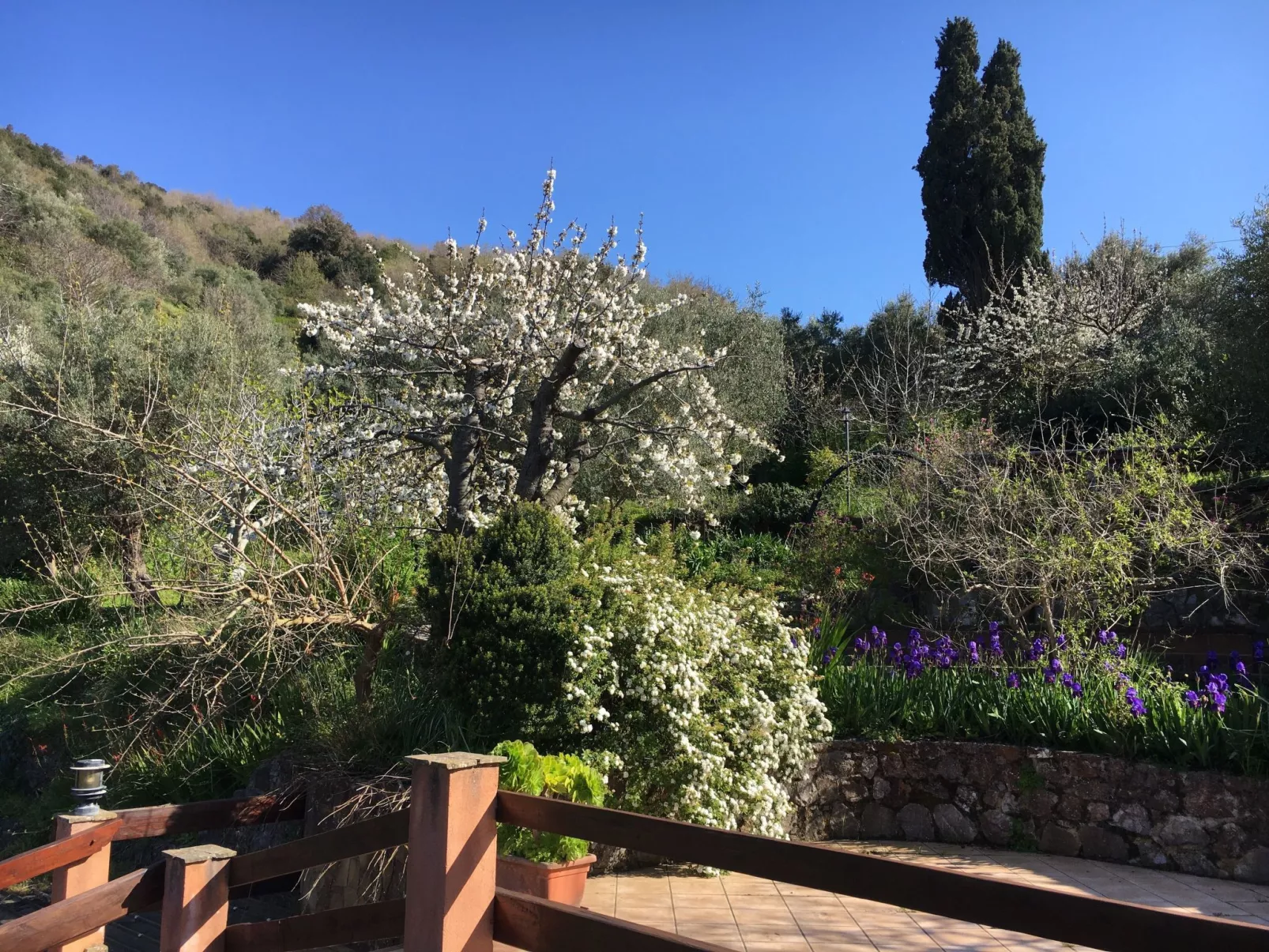 Mandarin Wohnung-Buiten