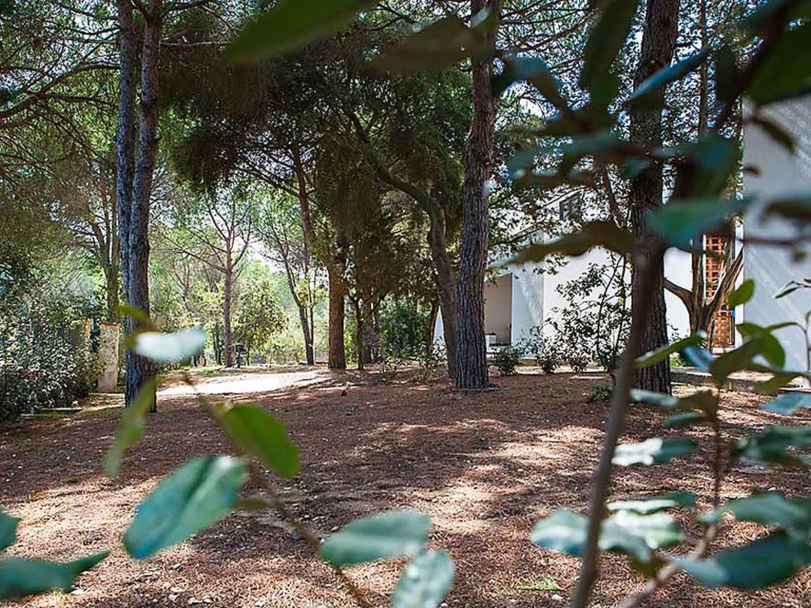 Villa 'Alba 2B' in Strandnähe-Buiten